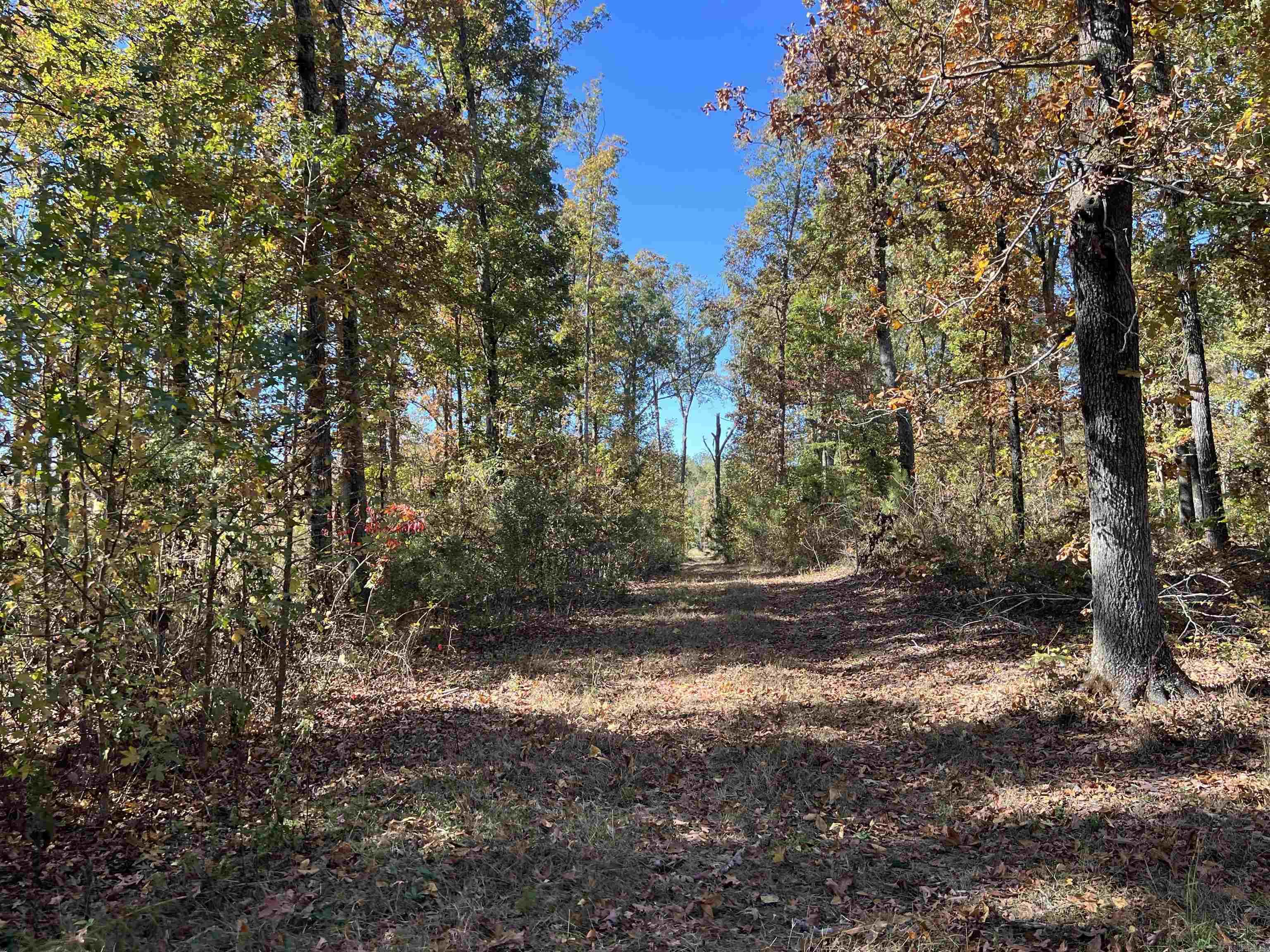 10875 Highway 133  Pine Bluff, AR