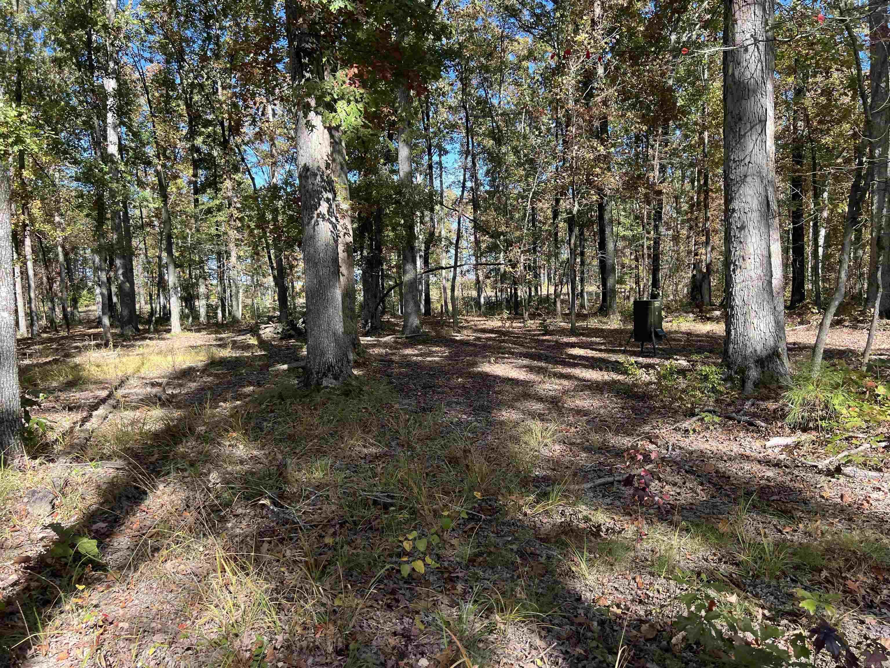 10875 Highway 133  Pine Bluff, AR