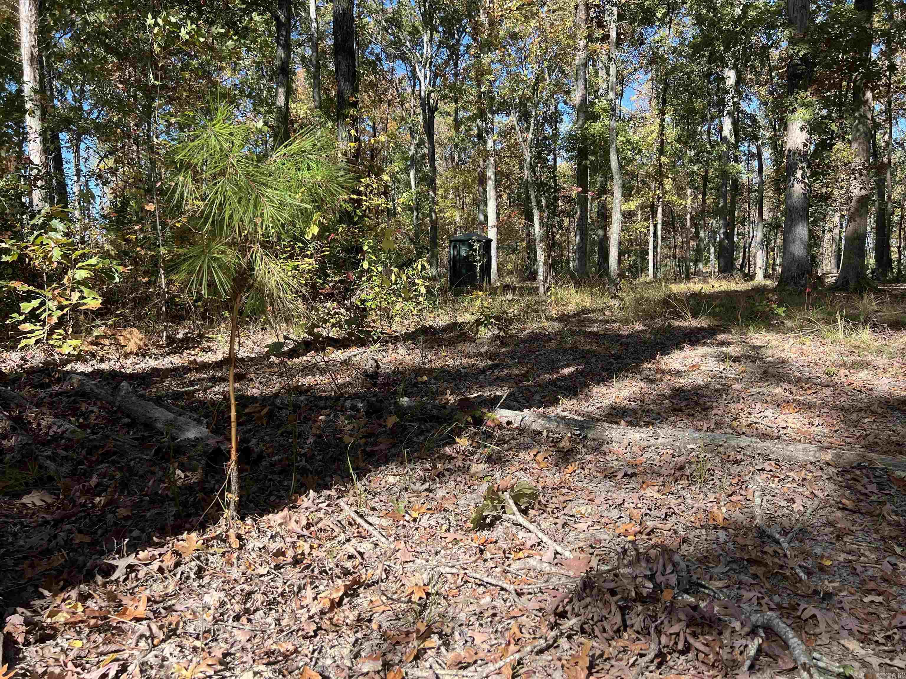 10875 Highway 133  Pine Bluff, AR