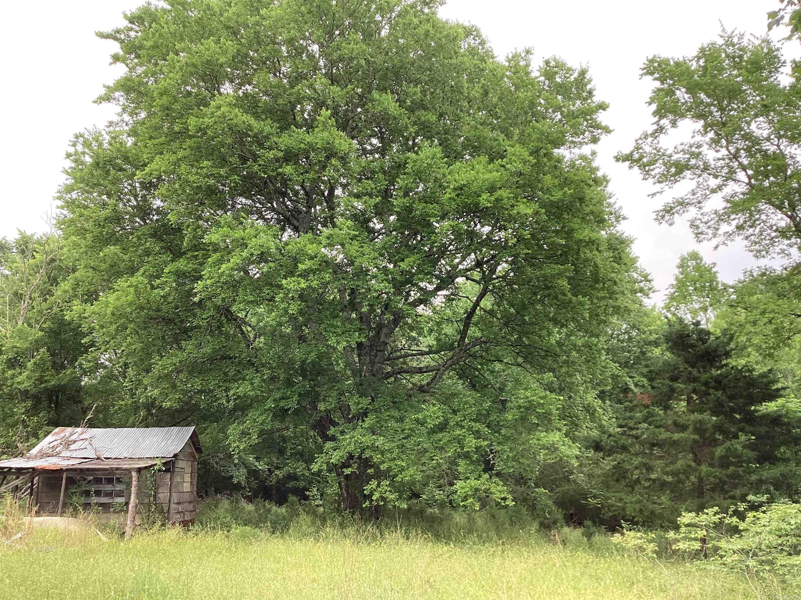 1006 Hempstead 24  Blevins, AR