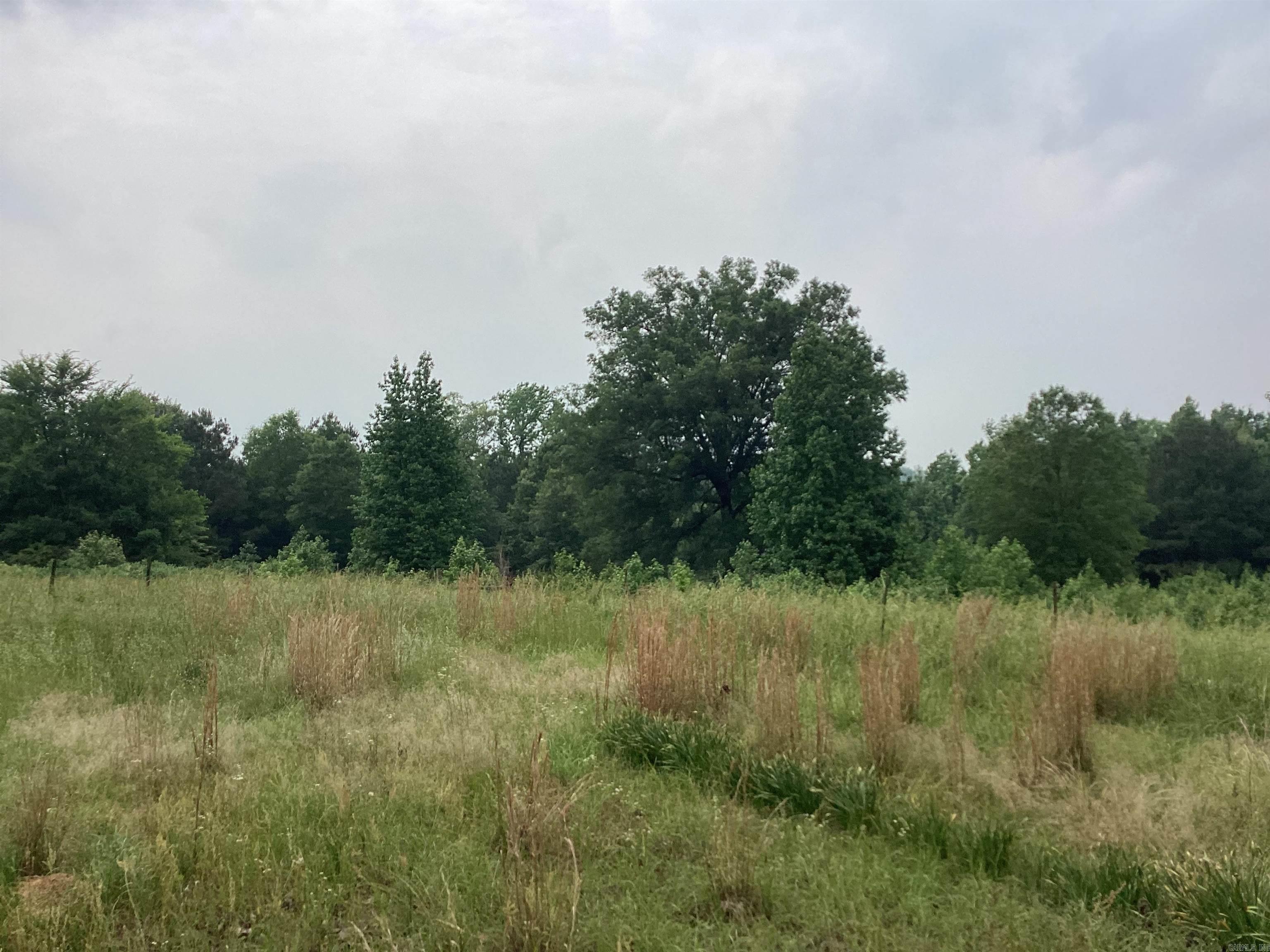 1006 Hempstead 24  Blevins, AR