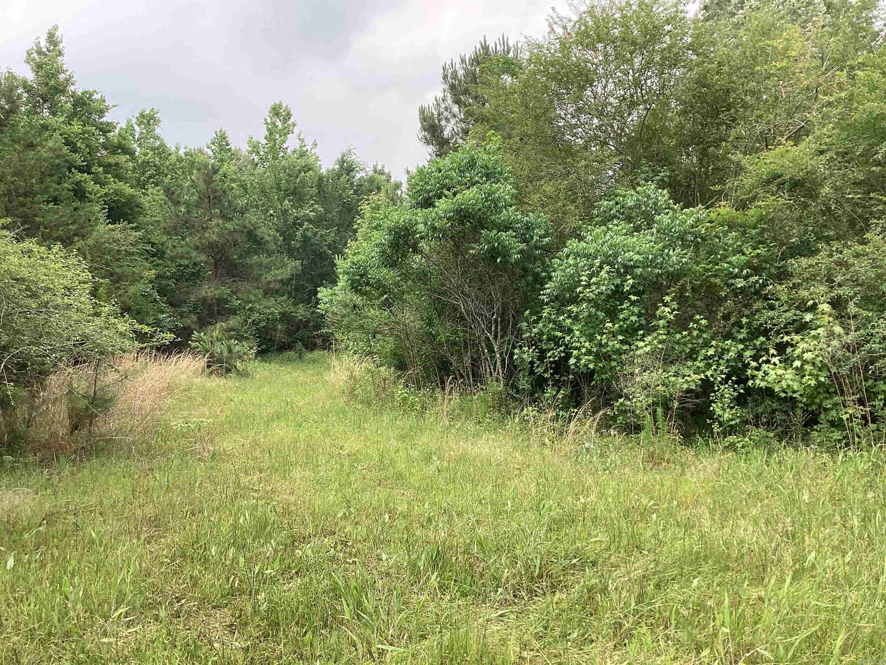 1006 Hempstead 24  Blevins, AR