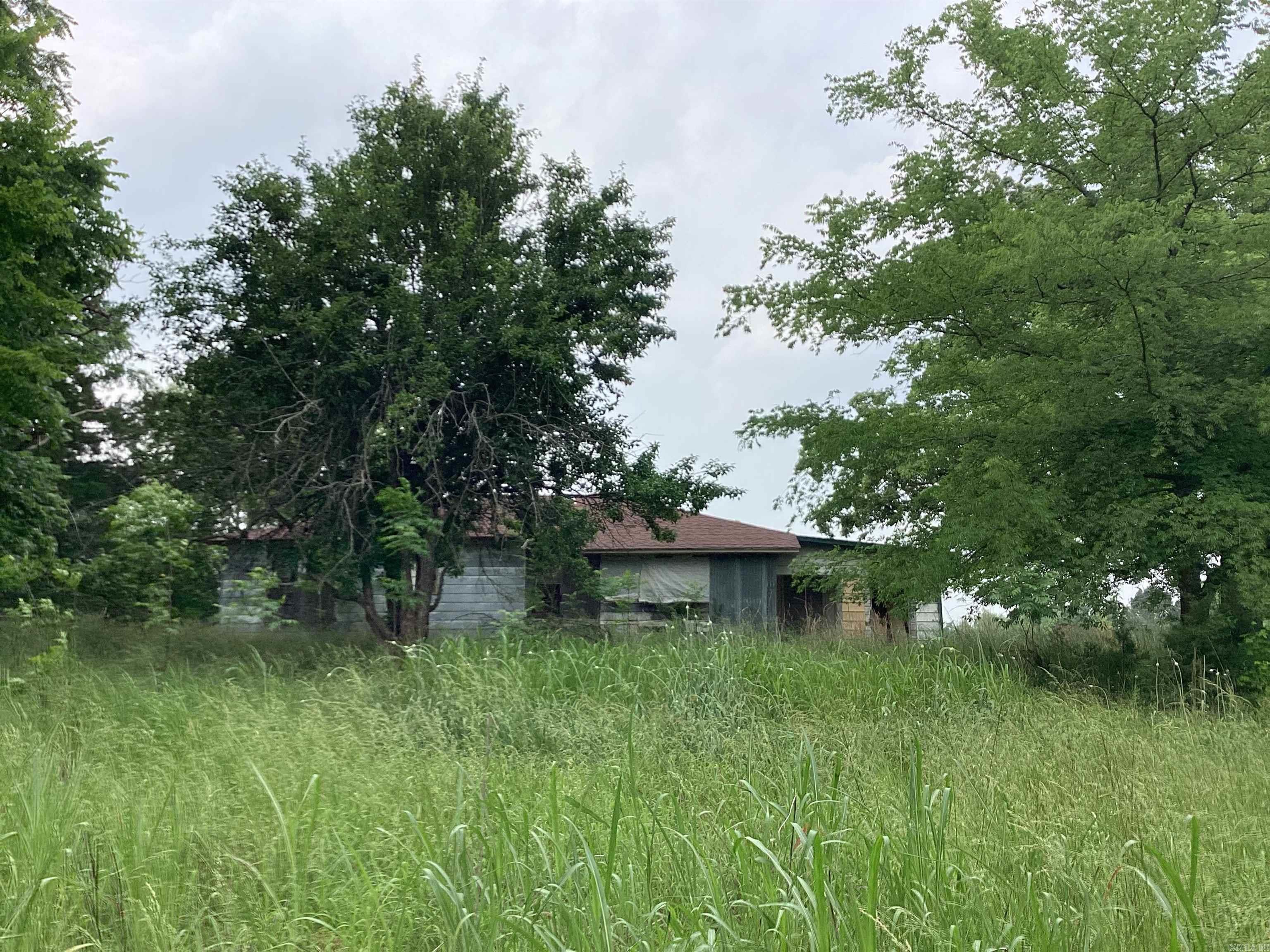 1006 Hempstead 24  Blevins, AR