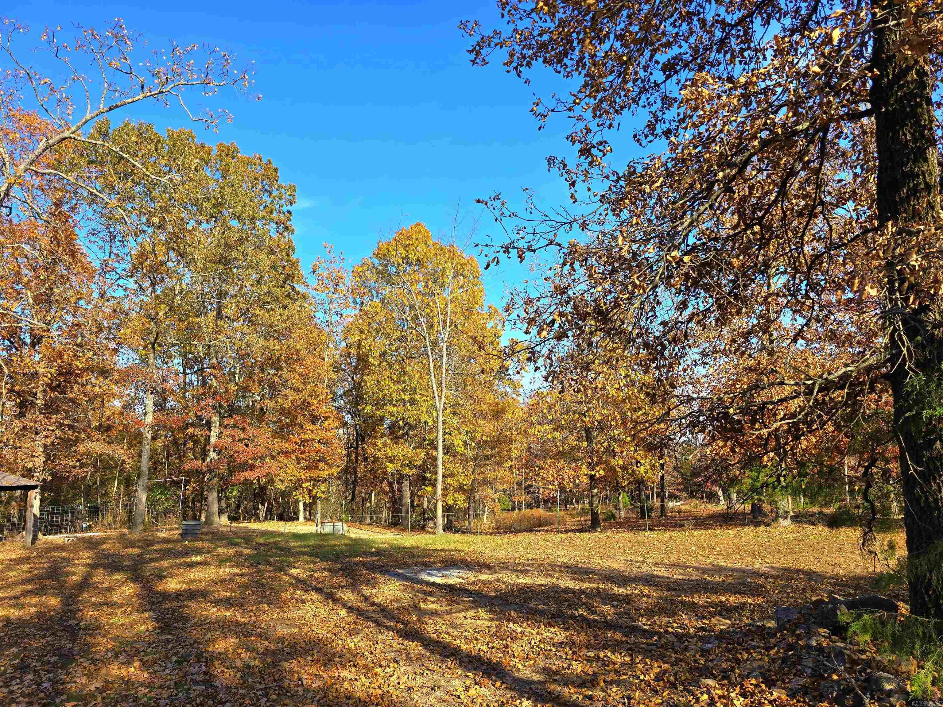 768 CR 153  Elizabeth, AR