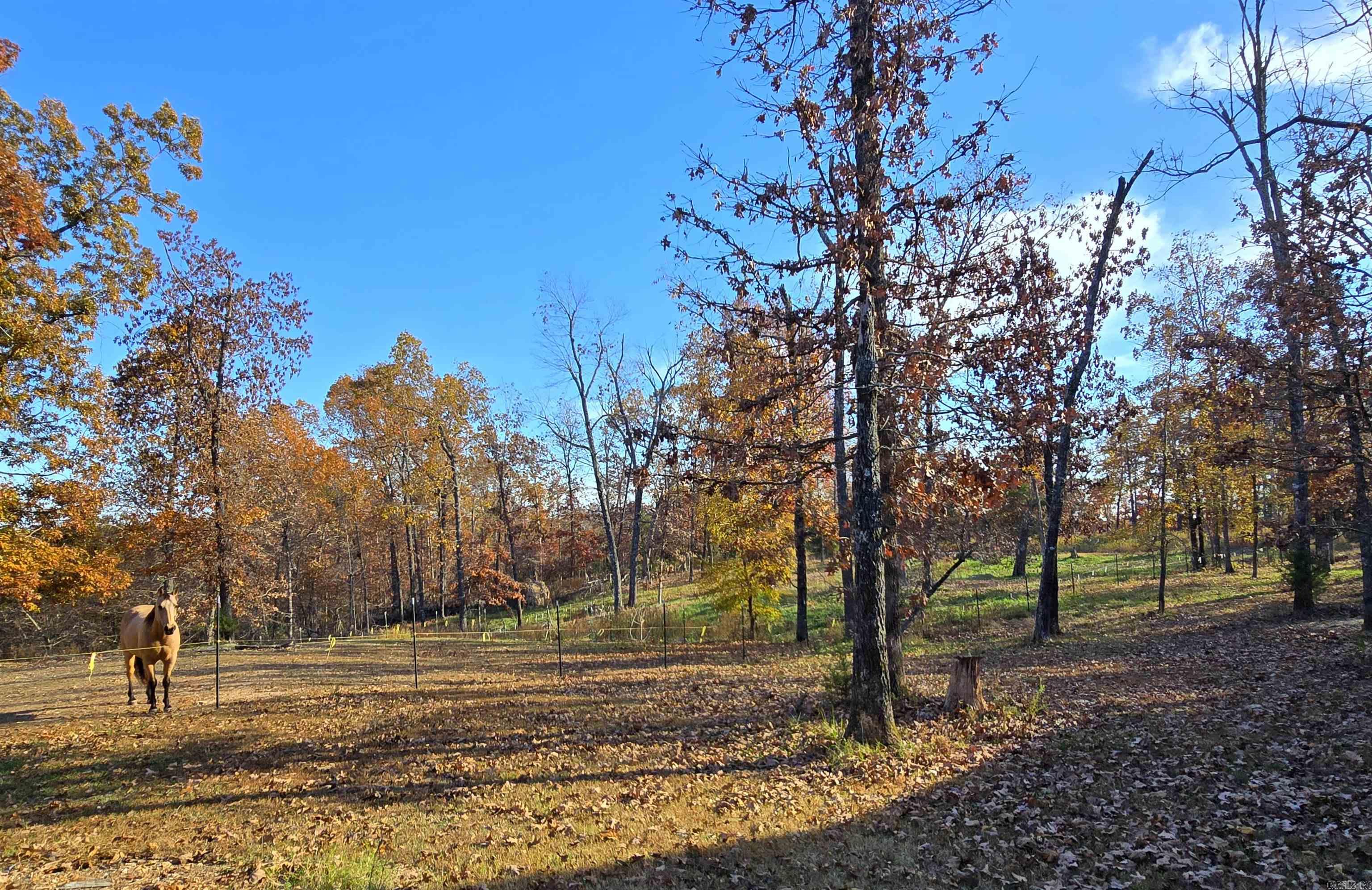 768 CR 153  Elizabeth, AR