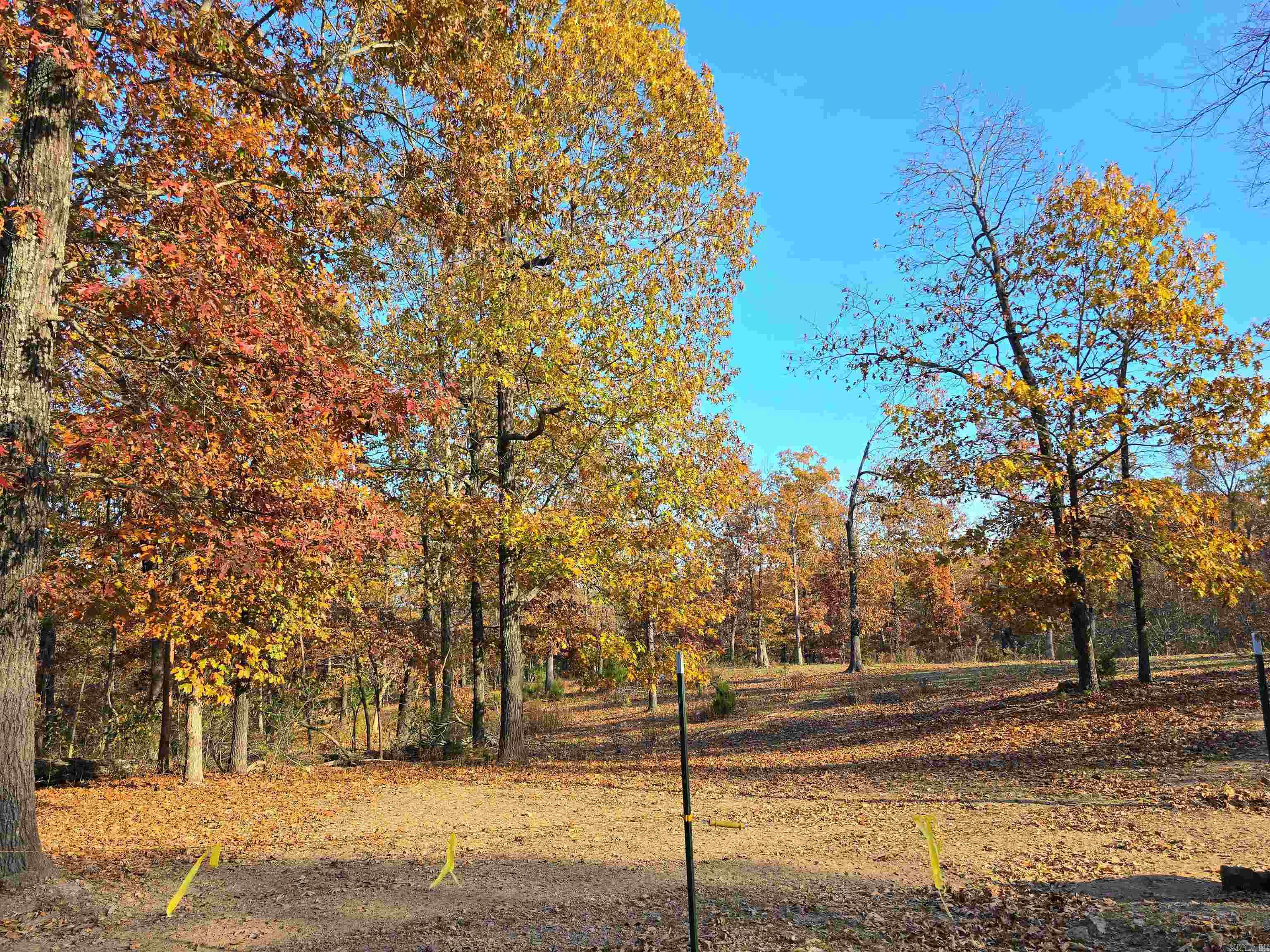 768 CR 153  Elizabeth, AR