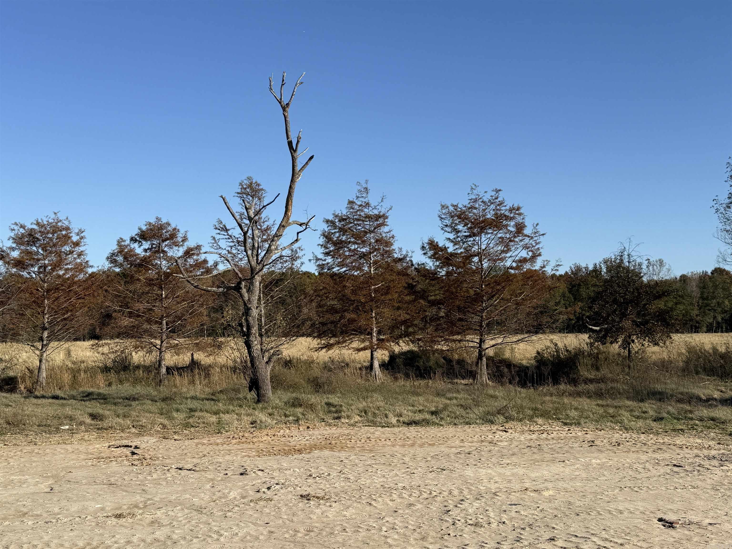 2220 Duck Levee  Biggers, AR