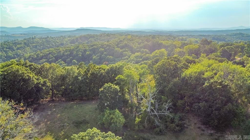 400 Fowler Spring  Saint Joe, AR