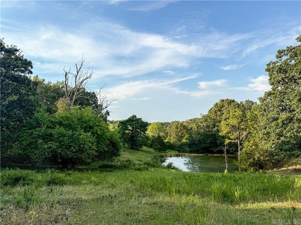 400 Fowler Spring  Saint Joe, AR