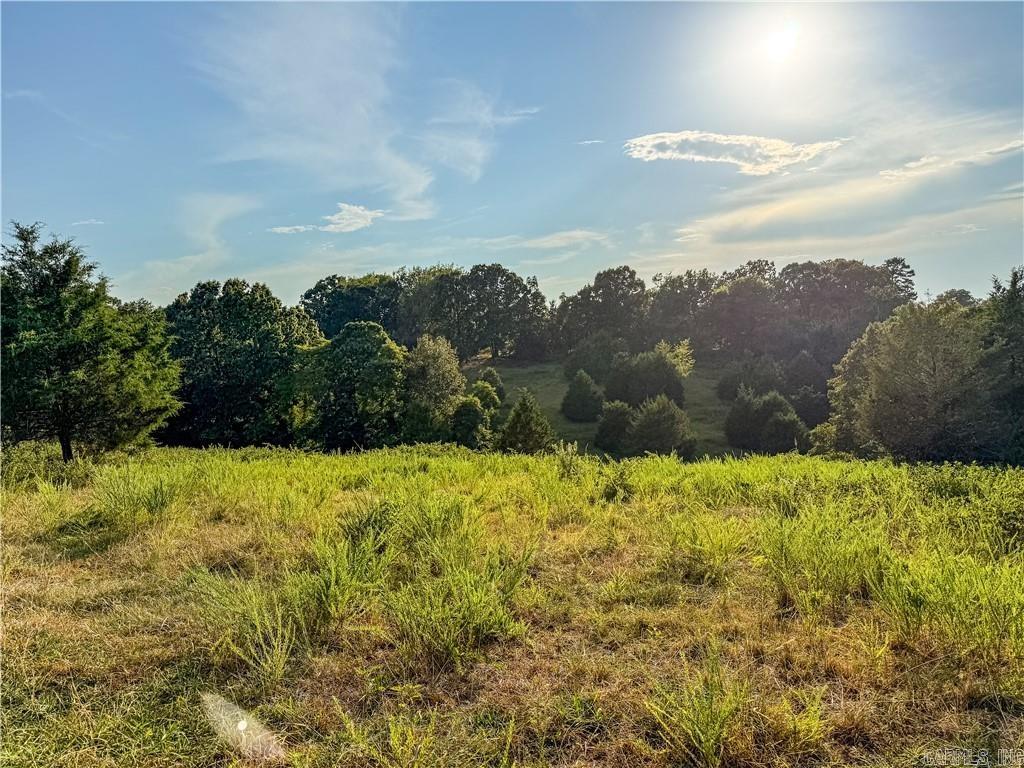 400 Fowler Spring  Saint Joe, AR