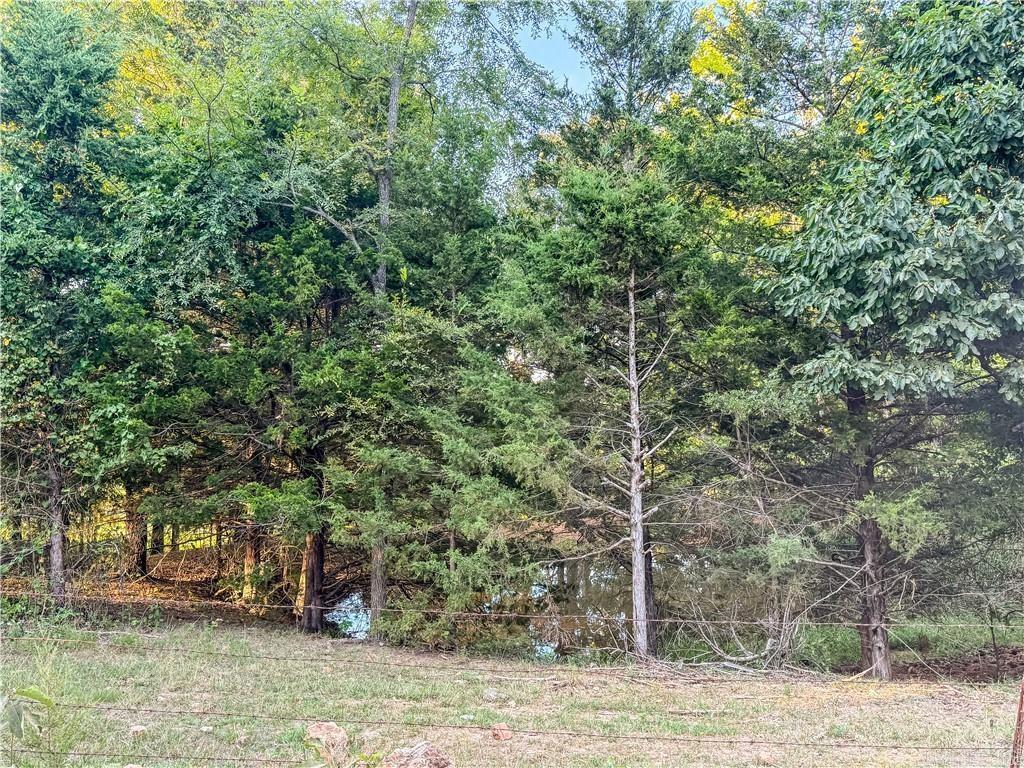 400 Fowler Spring  Saint Joe, AR