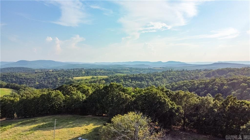 400 Fowler Spring  Saint Joe, AR