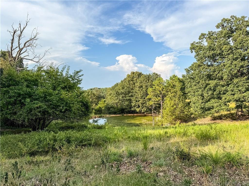 400 Fowler Spring  Saint Joe, AR