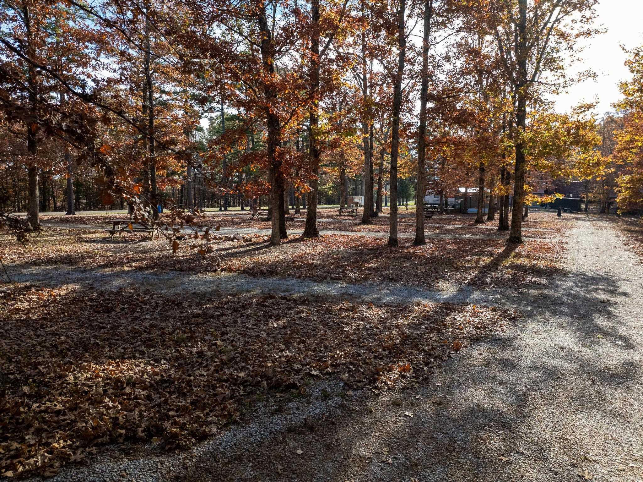 1655 N Hwy 14  Fifty-Six, AR