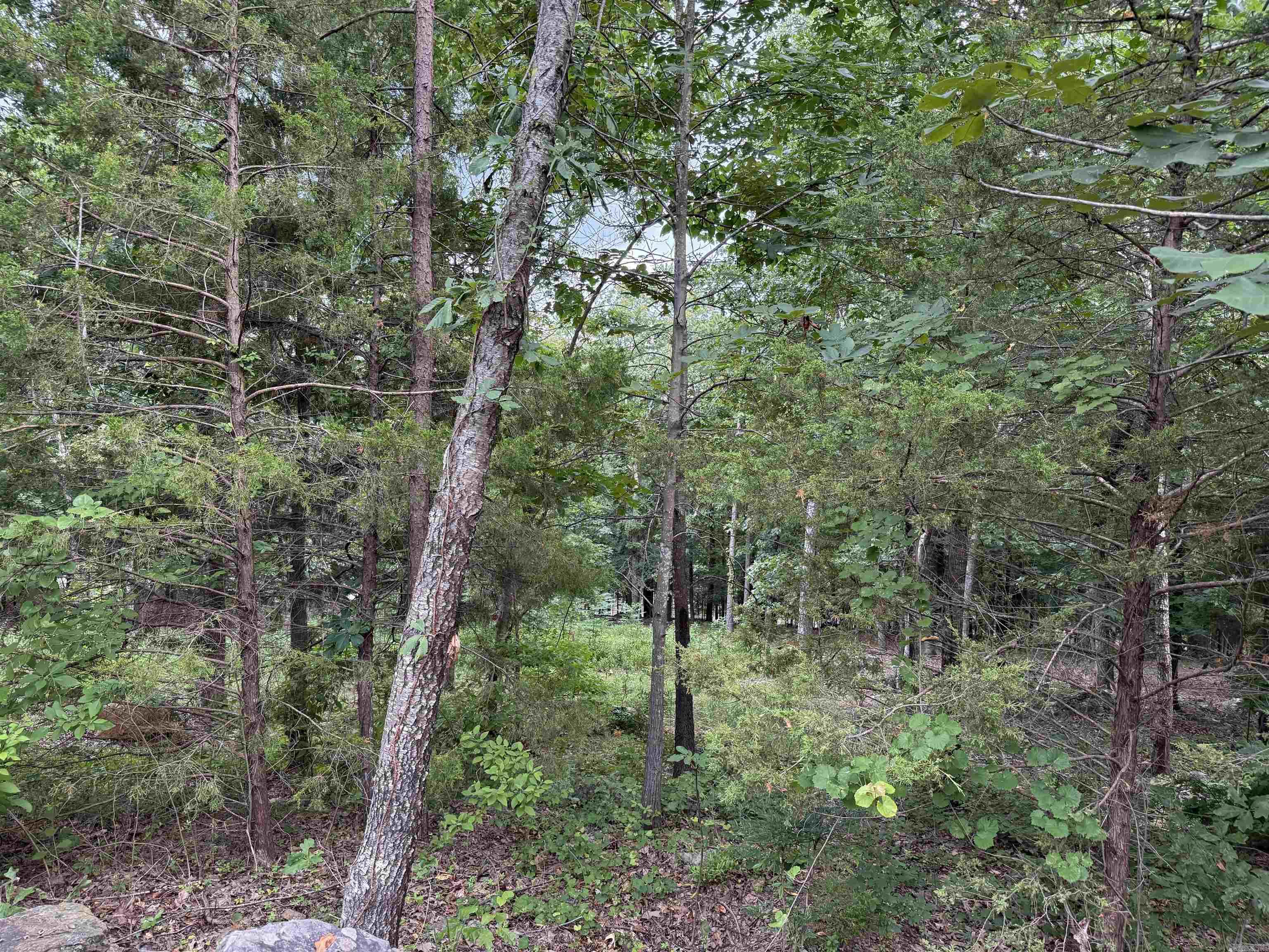 Lot 37R Stoney Ridge  Heber Springs, AR