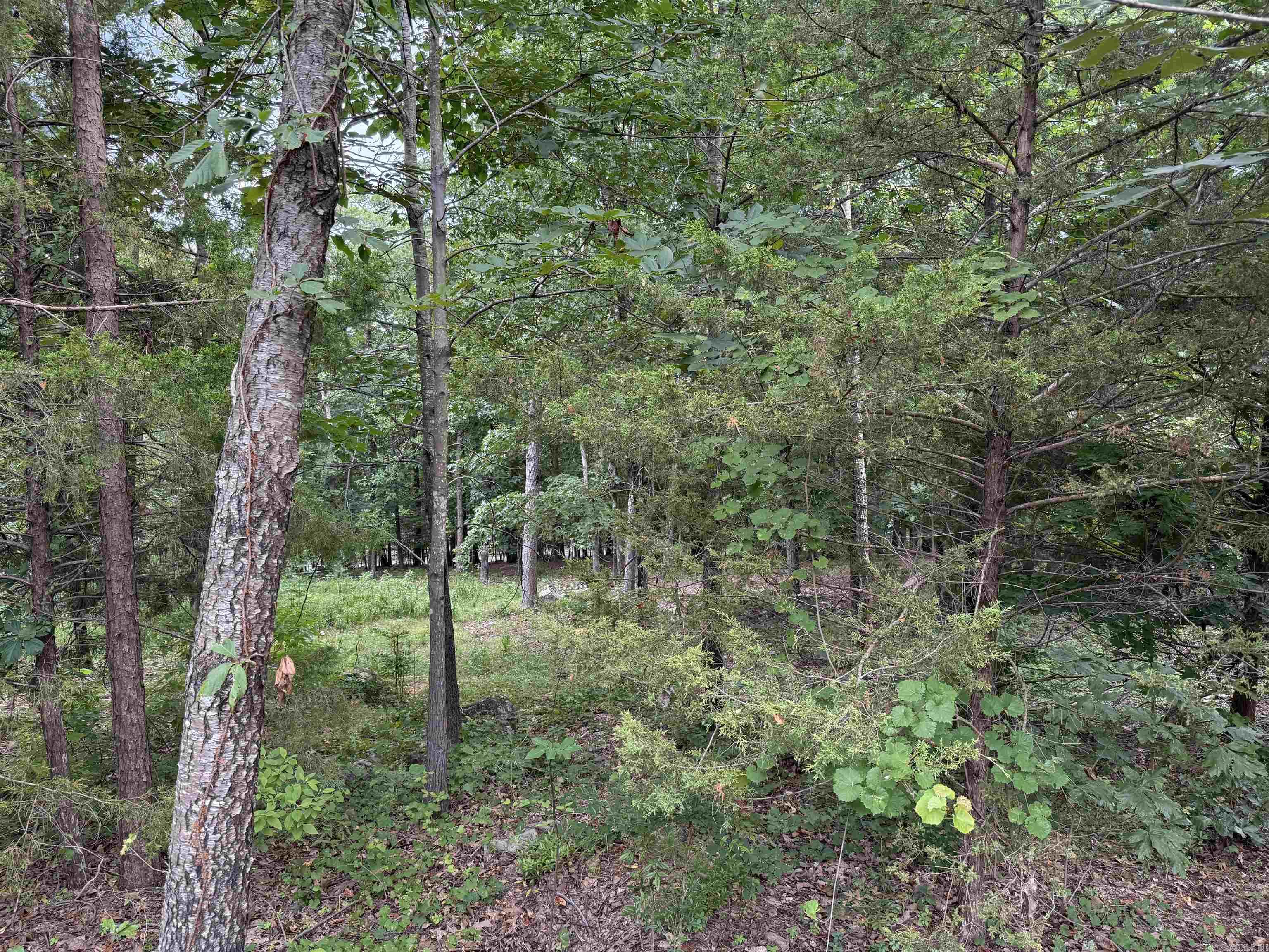 Lot 37R Stoney Ridge  Heber Springs, AR