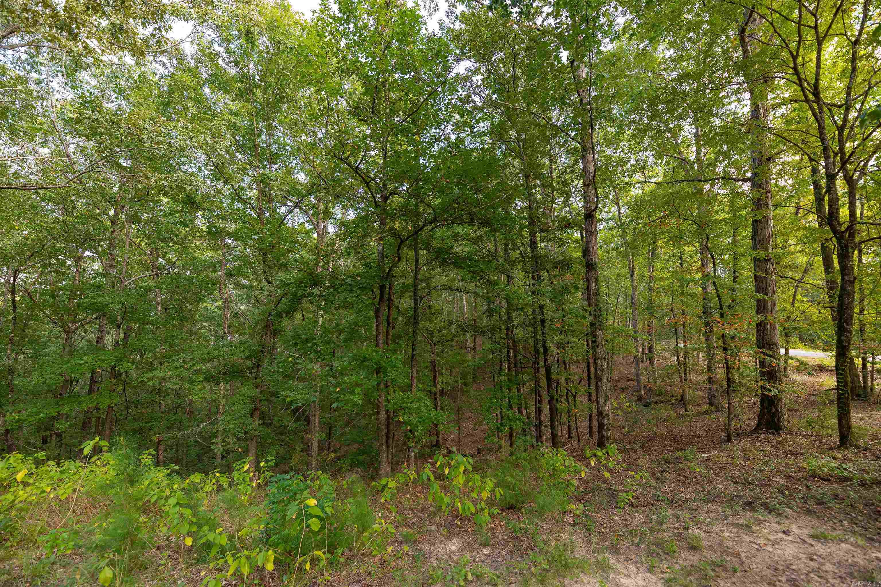 1315 Ridgeview Rd  Camden, AR