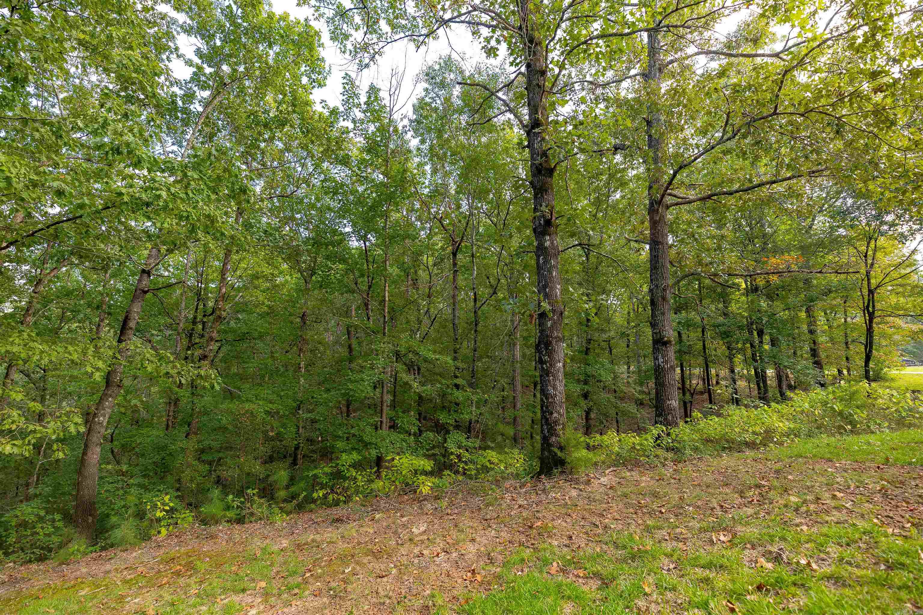 1315 Ridgeview Rd  Camden, AR