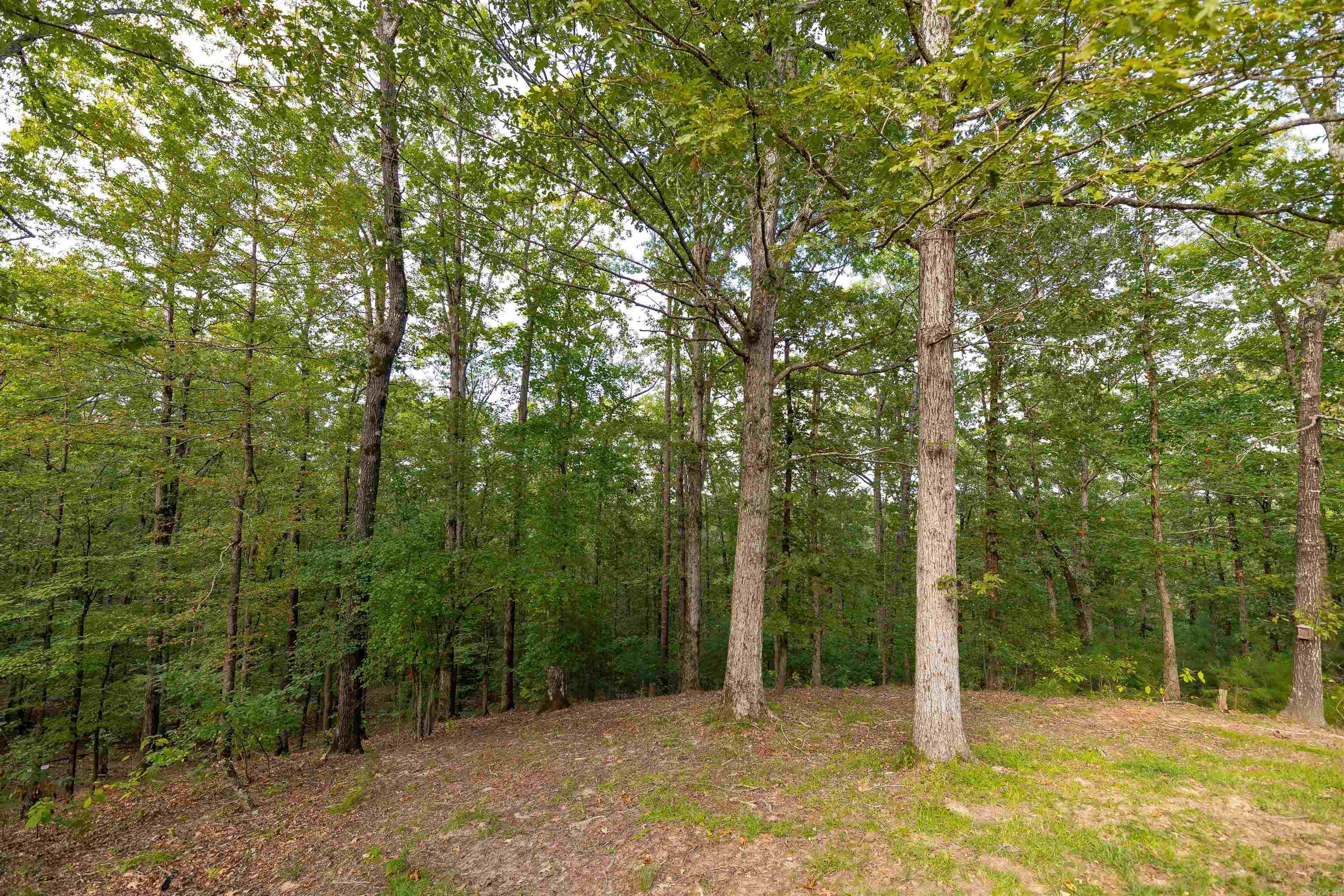 1315 Ridgeview Rd  Camden, AR