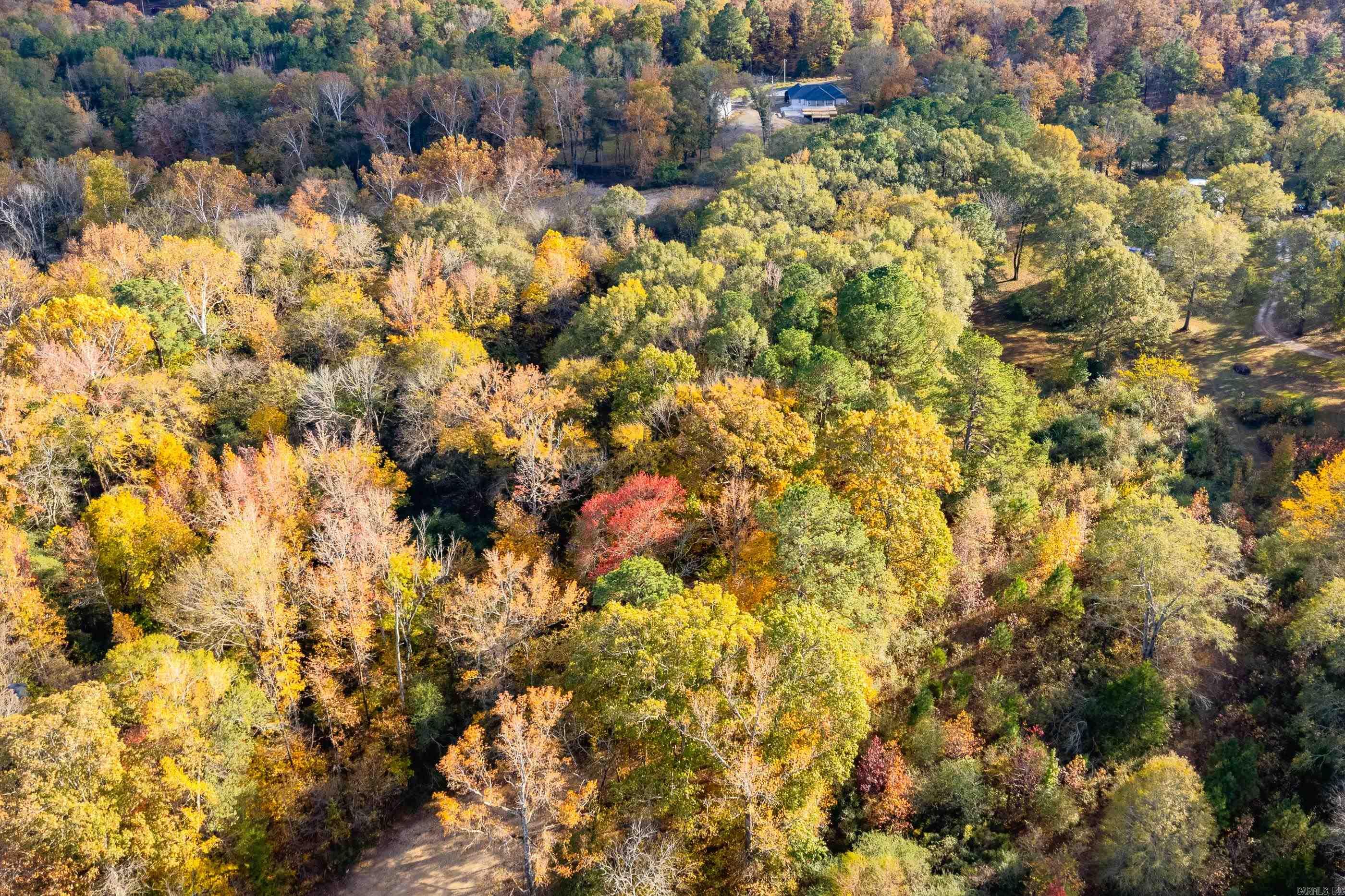 00 Timberlake Drive  Royal, AR