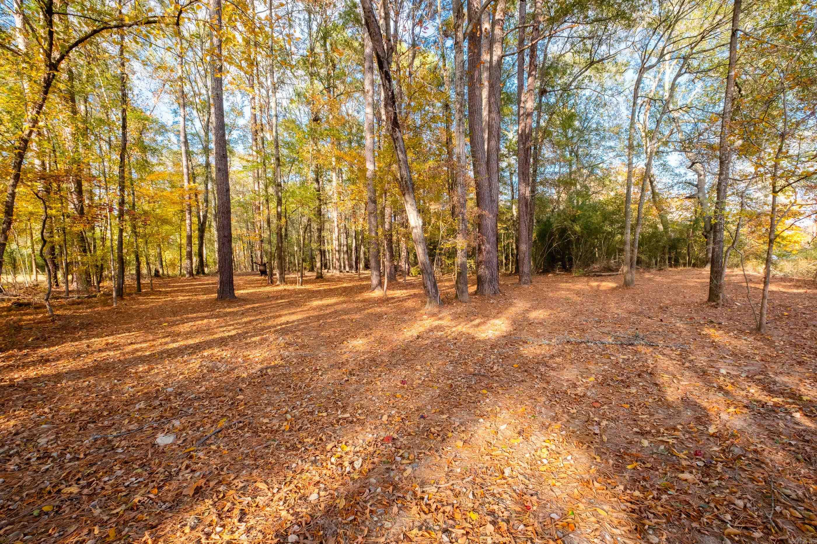 00 Timberlake Drive  Royal, AR