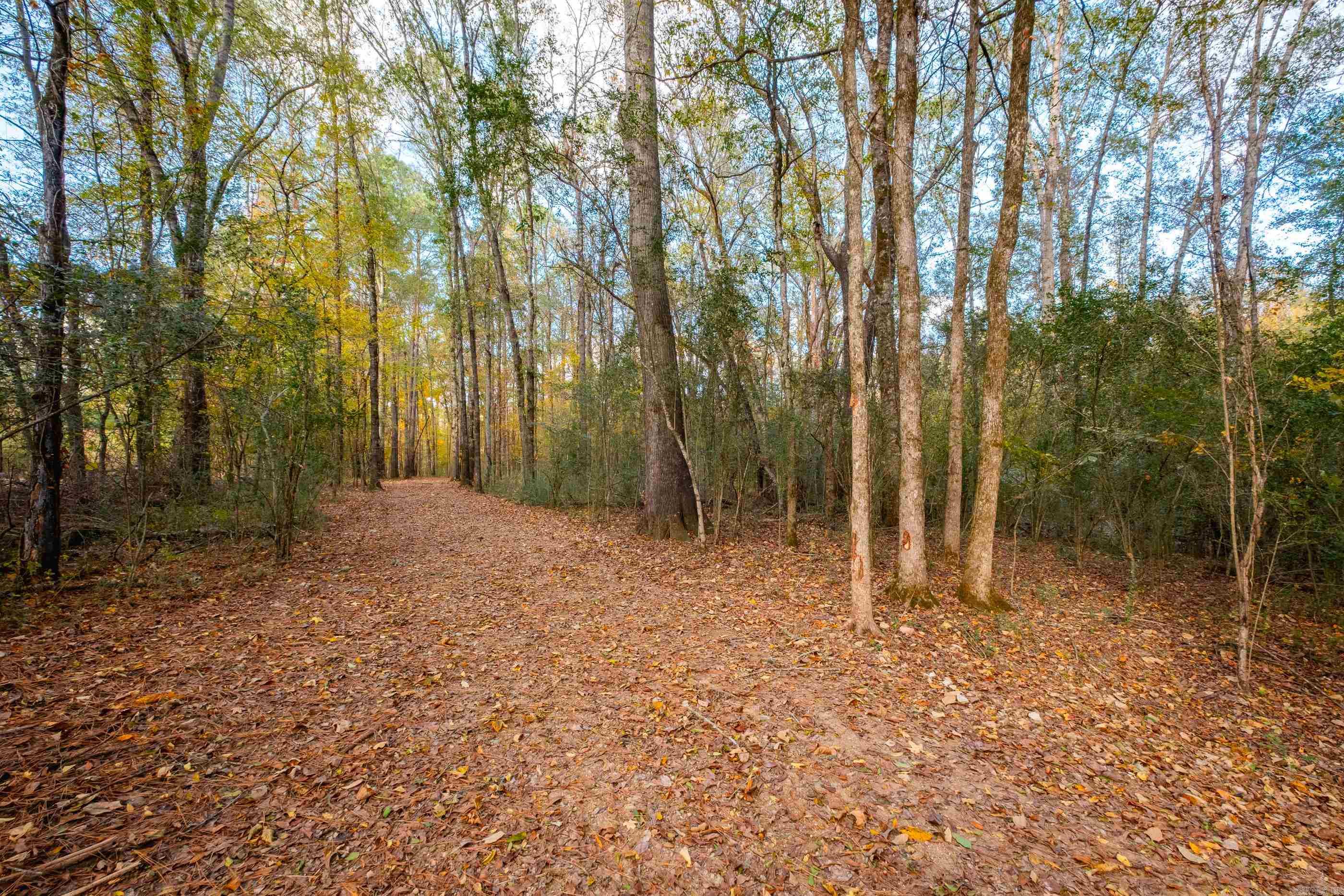 00 Timberlake Drive  Royal, AR