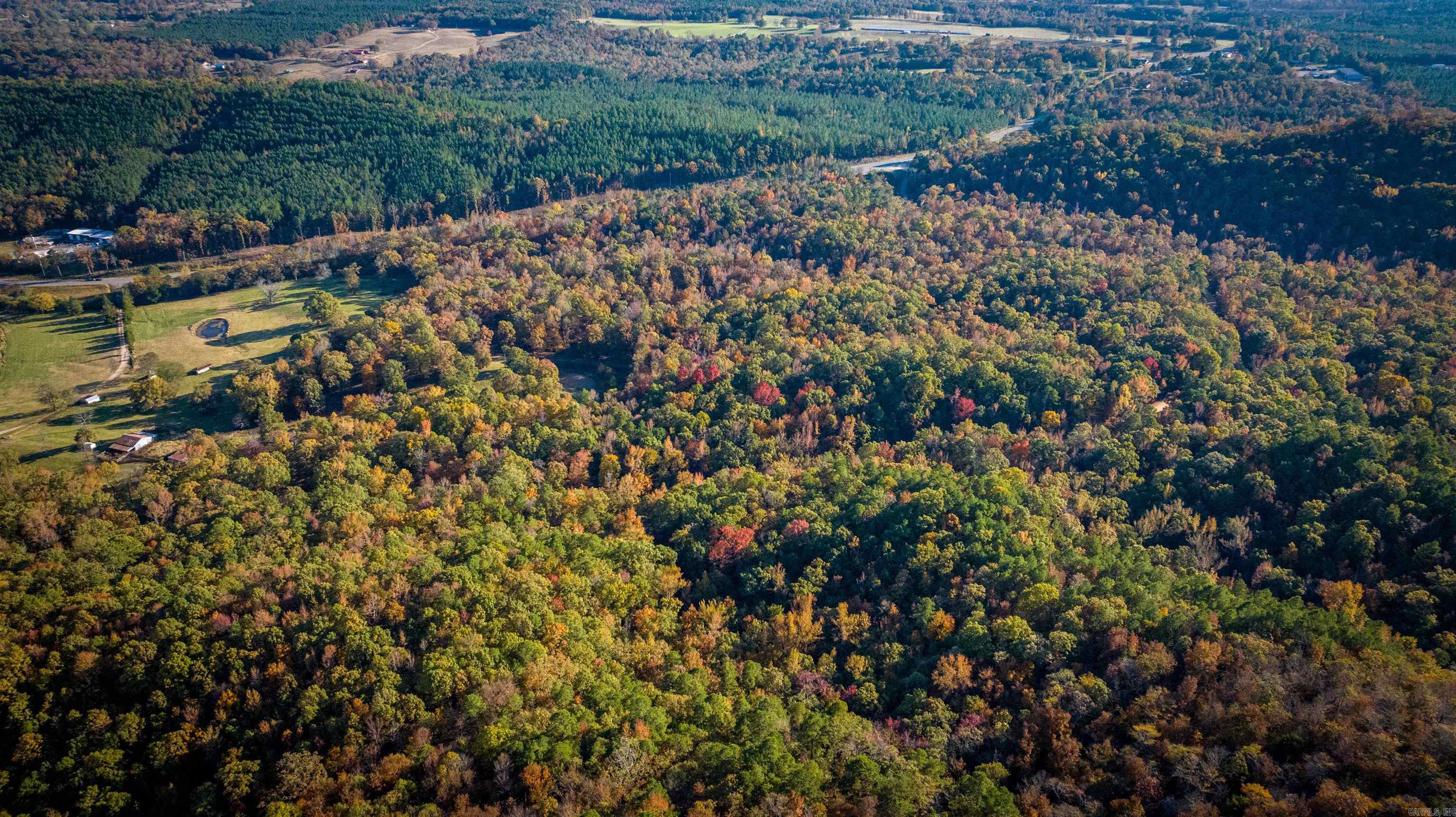 CR185 Camilla Springs  Glenwood, AR