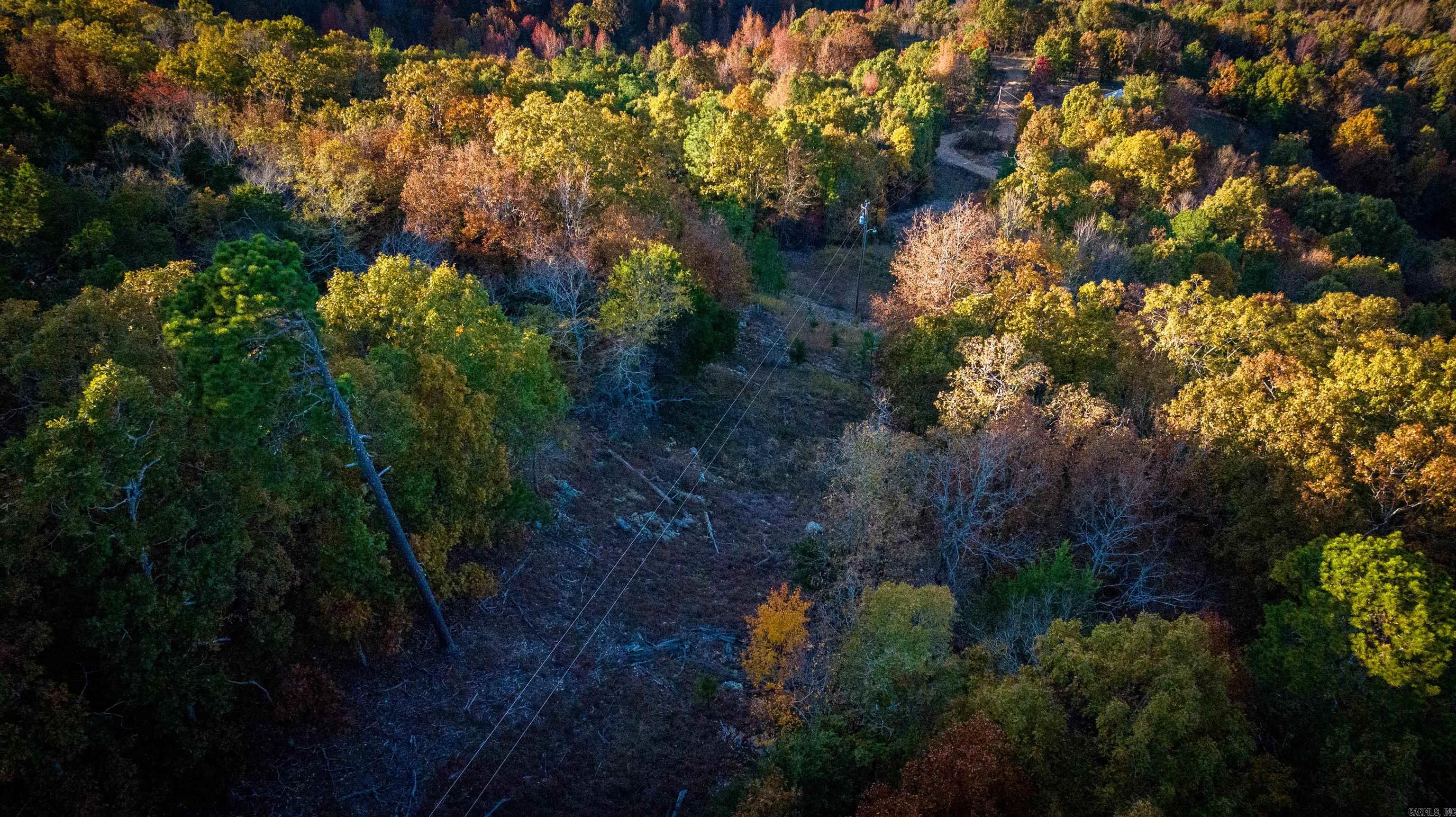 CR185 Camilla Springs  Glenwood, AR