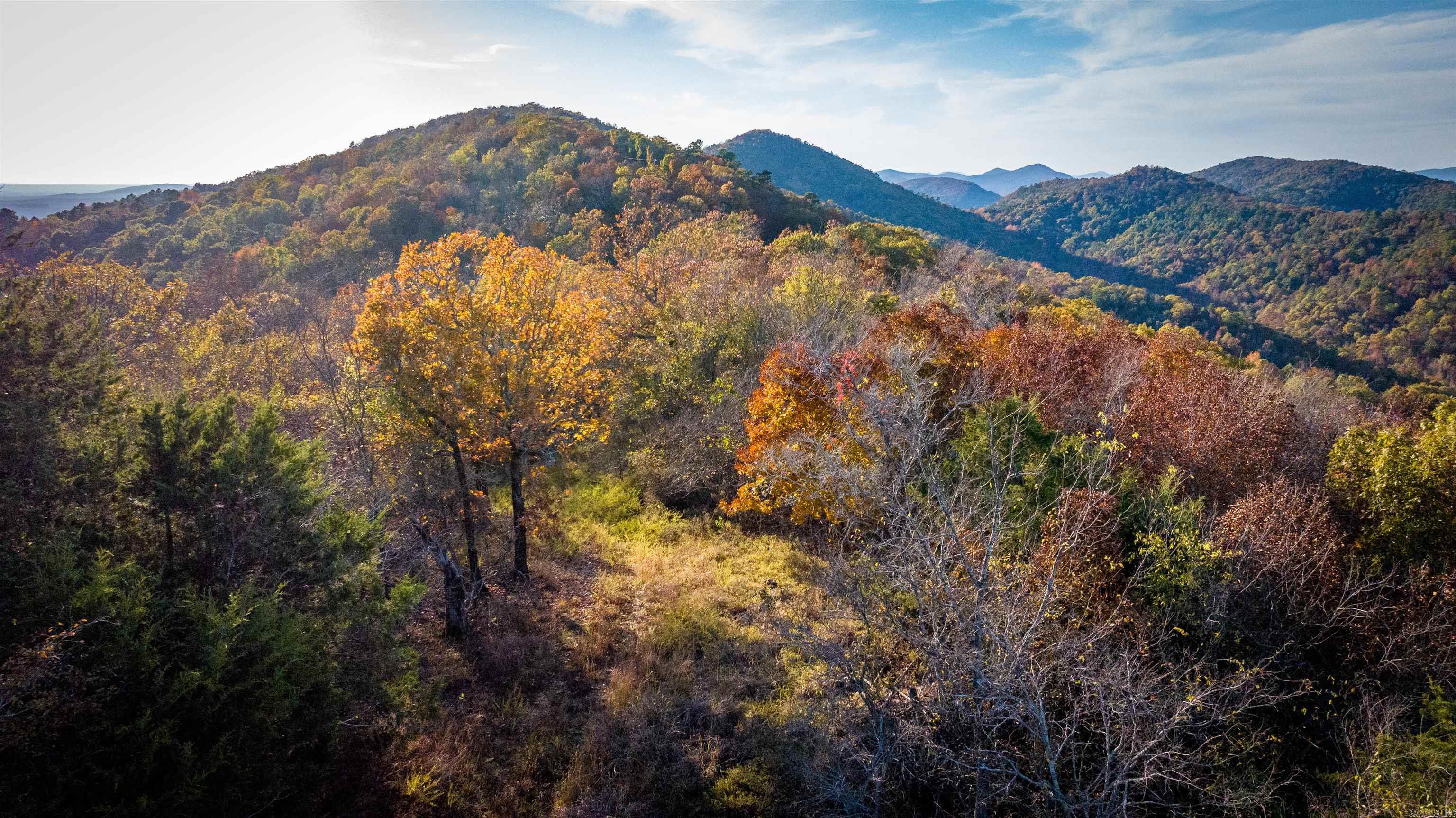 CR185 Camilla Springs  Glenwood, AR