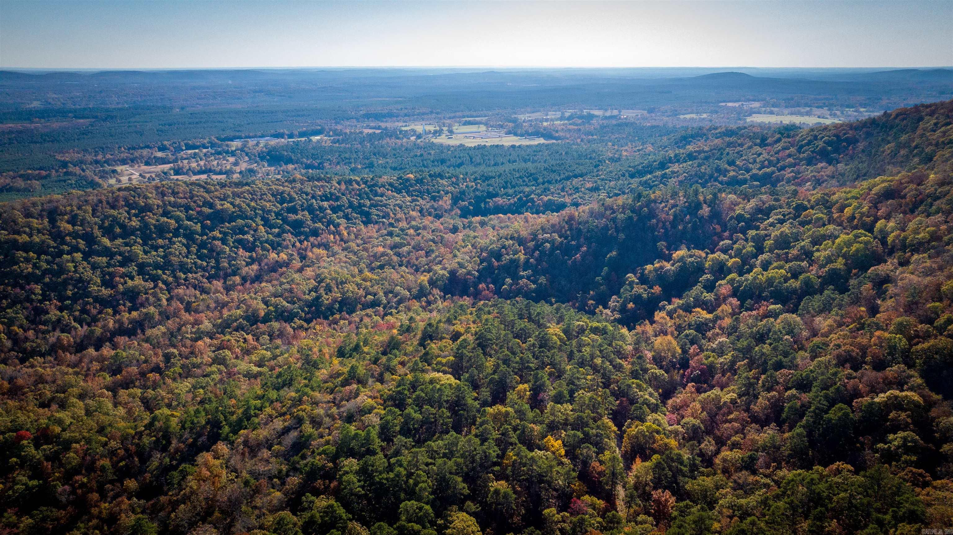 CR185 Camilla Springs  Glenwood, AR