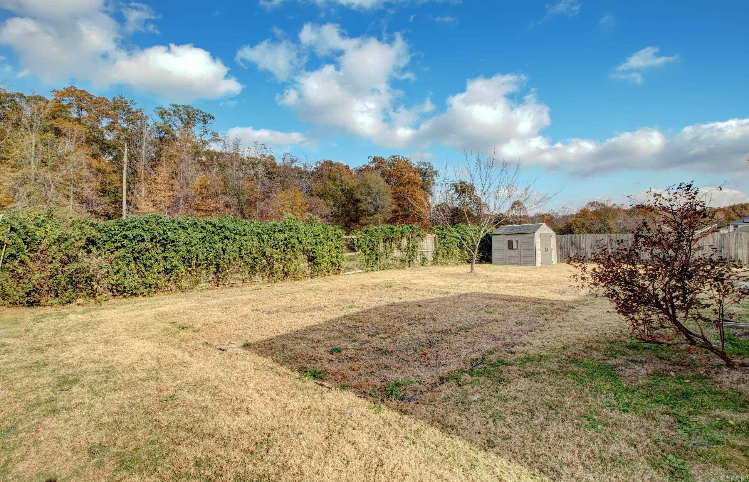 83 Earnhardt  Cabot, AR