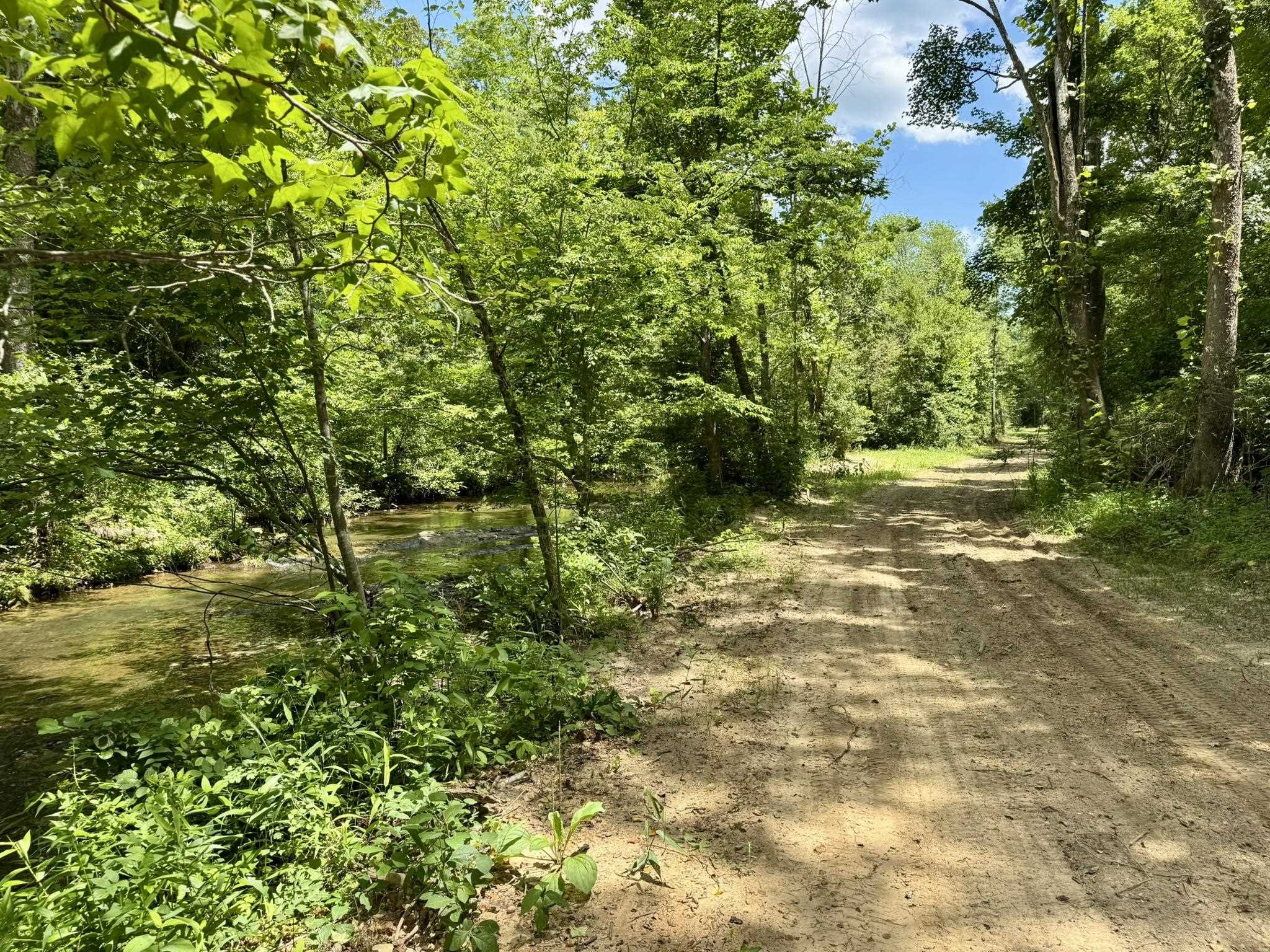 0000 Rose Trail  Melbourne, AR