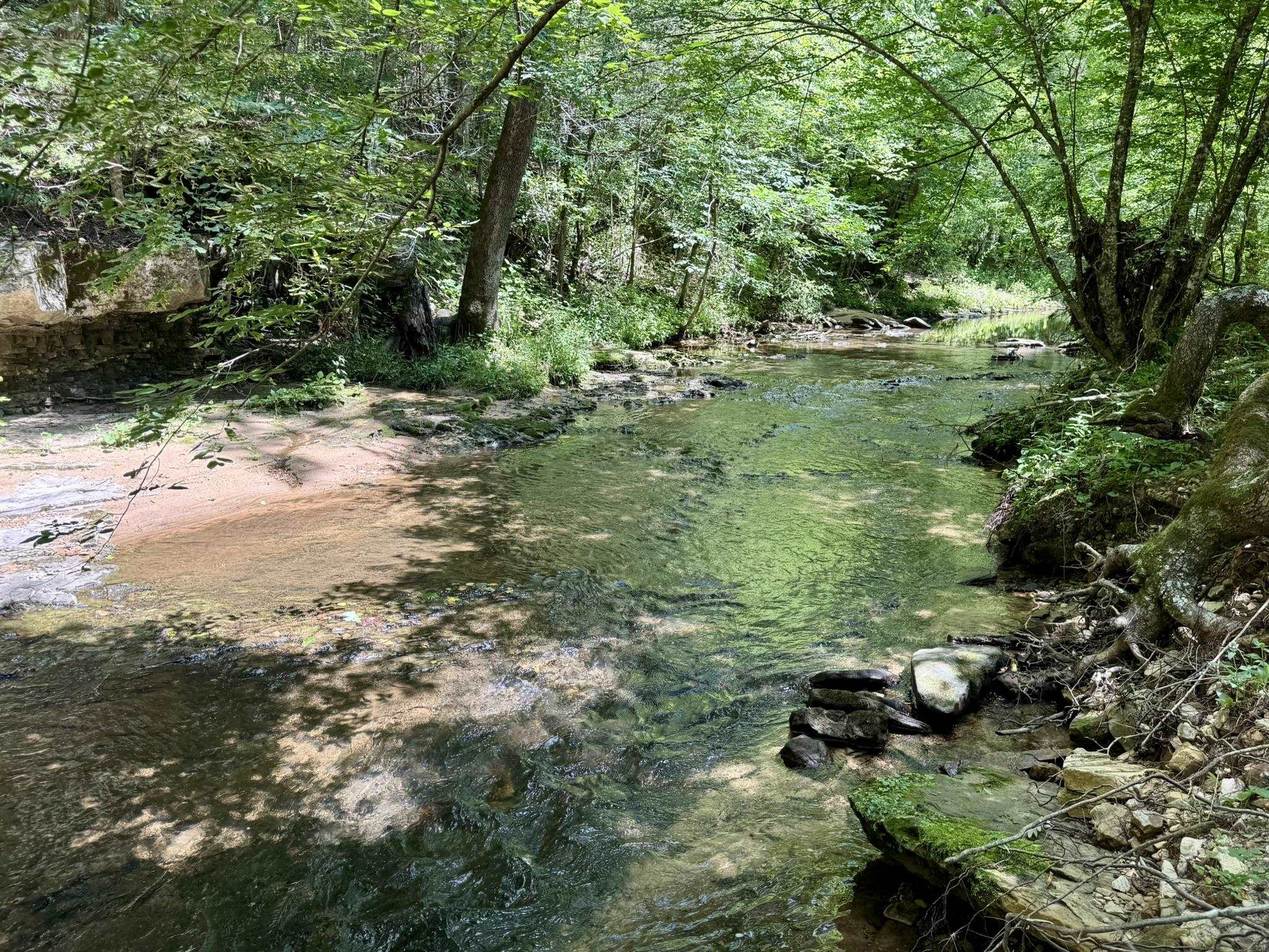 0000 Rose Trail  Melbourne, AR