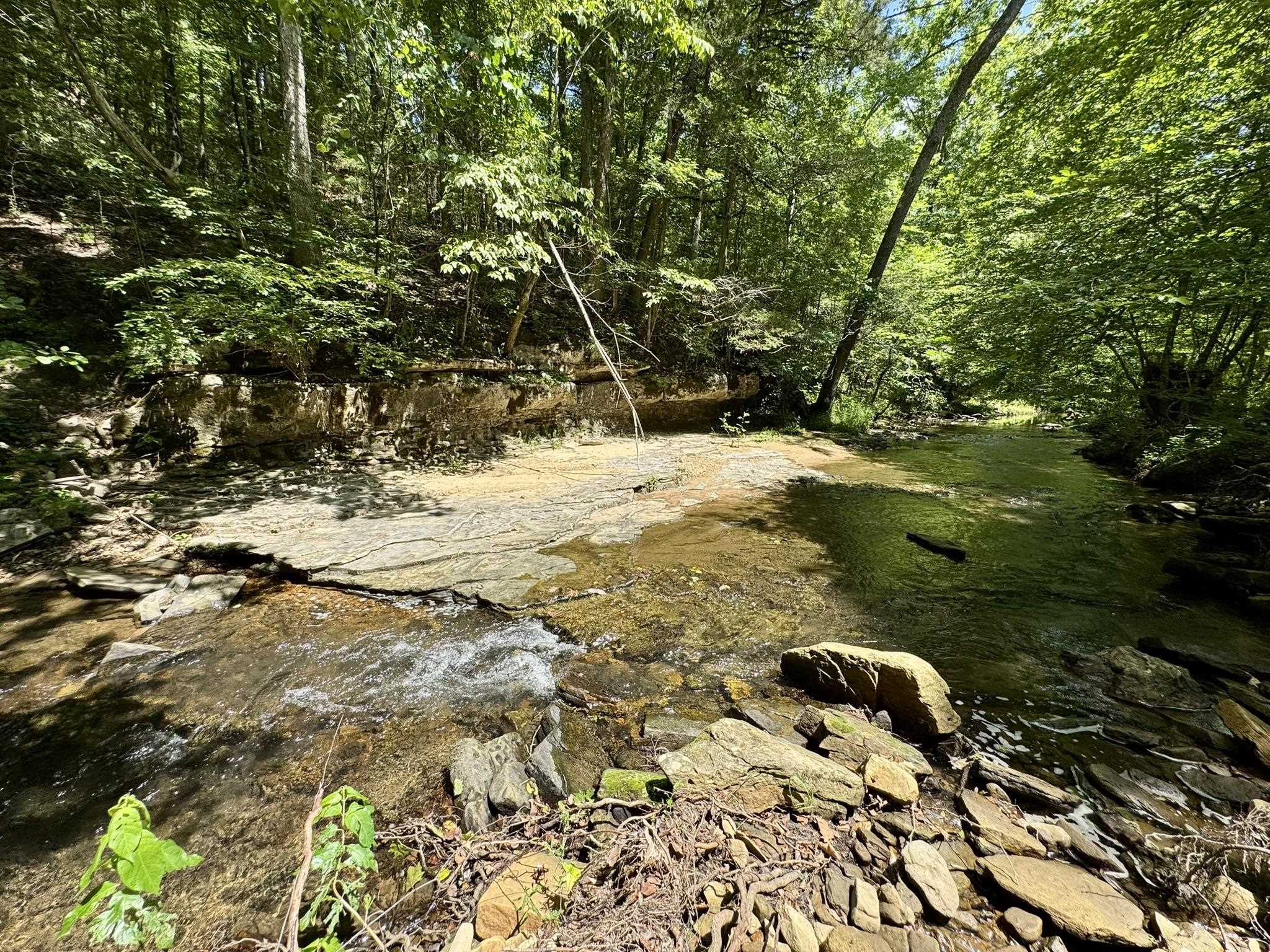 75.33 acres Rose Trail  Melbourne, AR