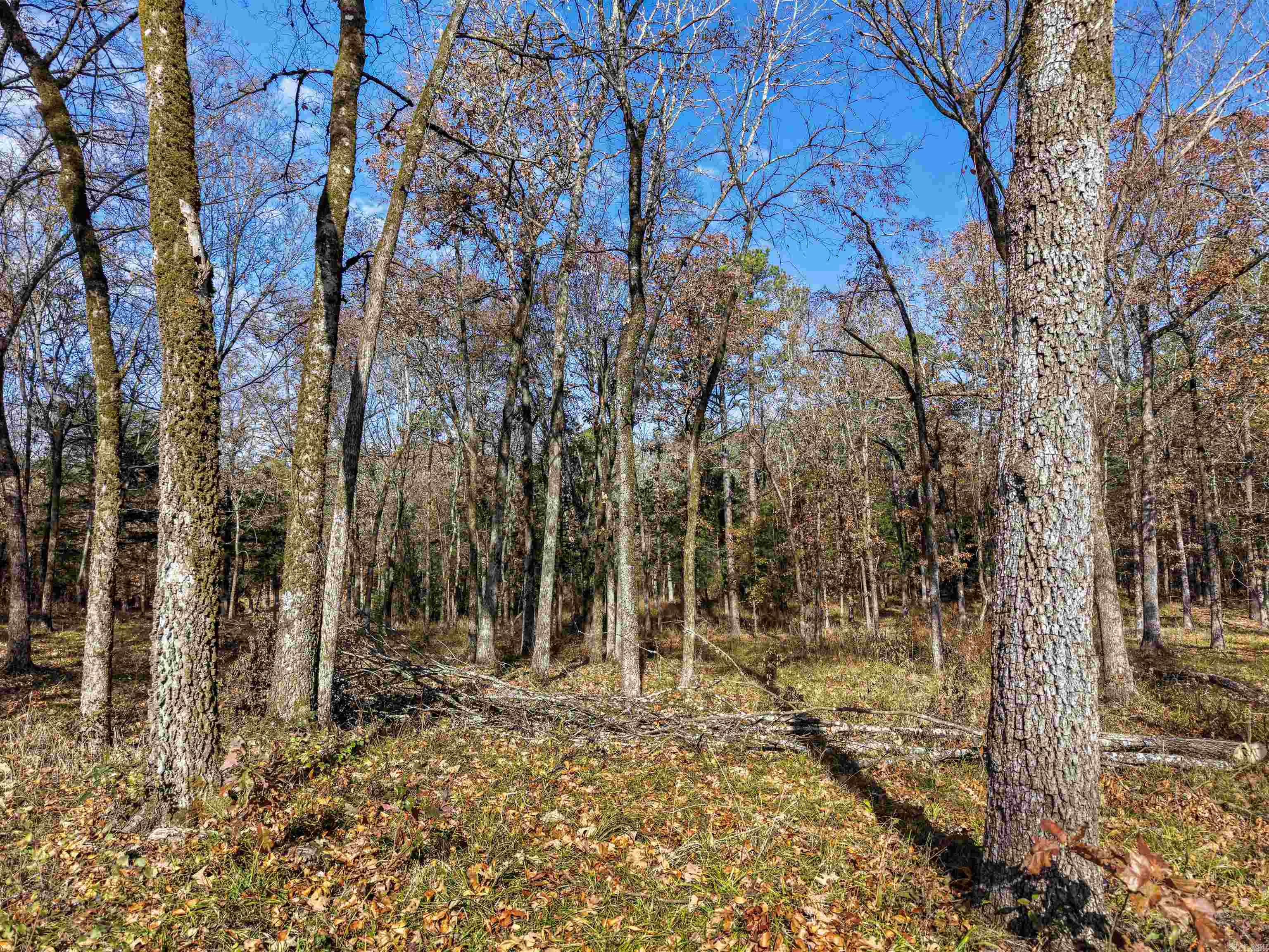 458 Union Hill Road  Story, AR