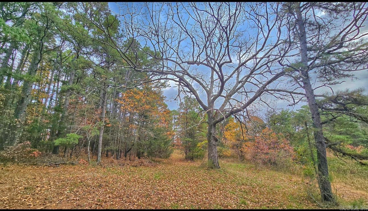 000 Elba Rd  Clinton, AR