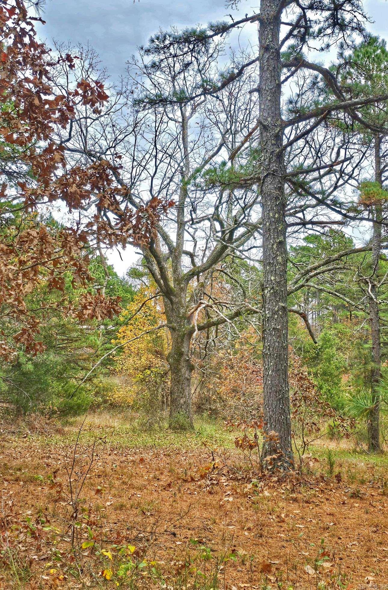 000 Elba Rd  Clinton, AR