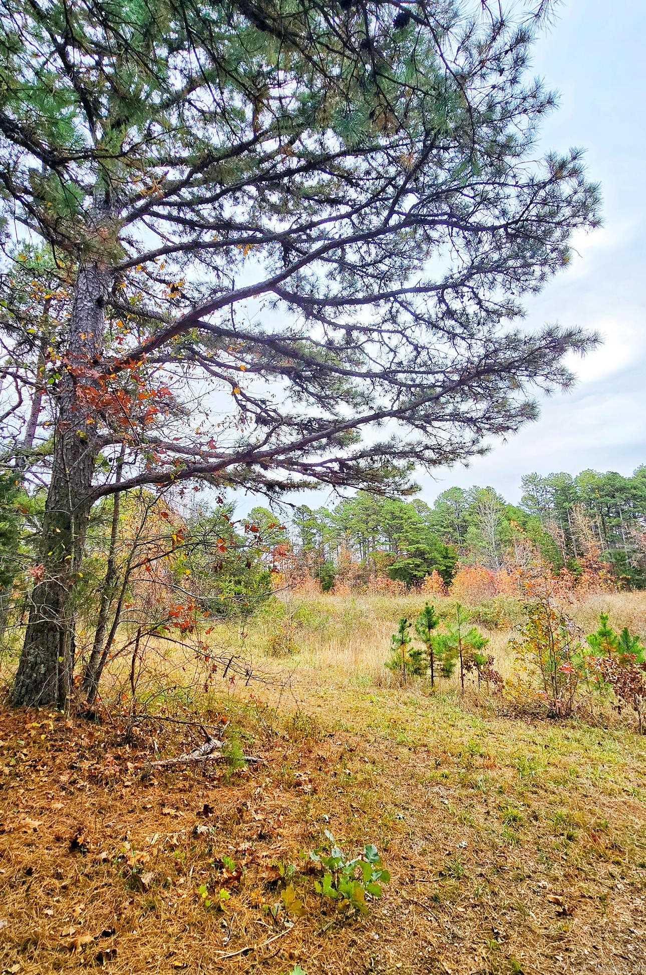 000 Elba Rd  Clinton, AR