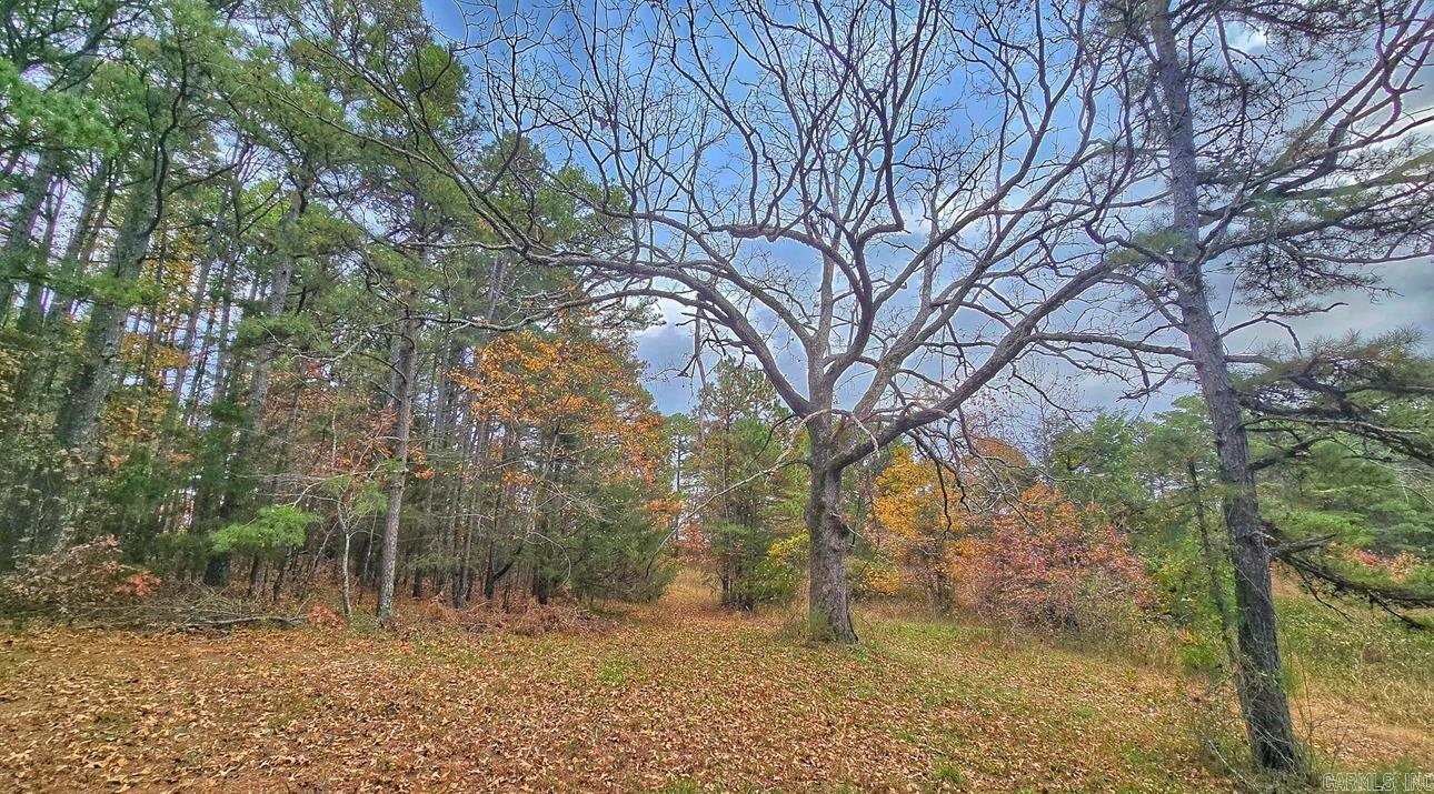 000 Elba Rd  Clinton, AR