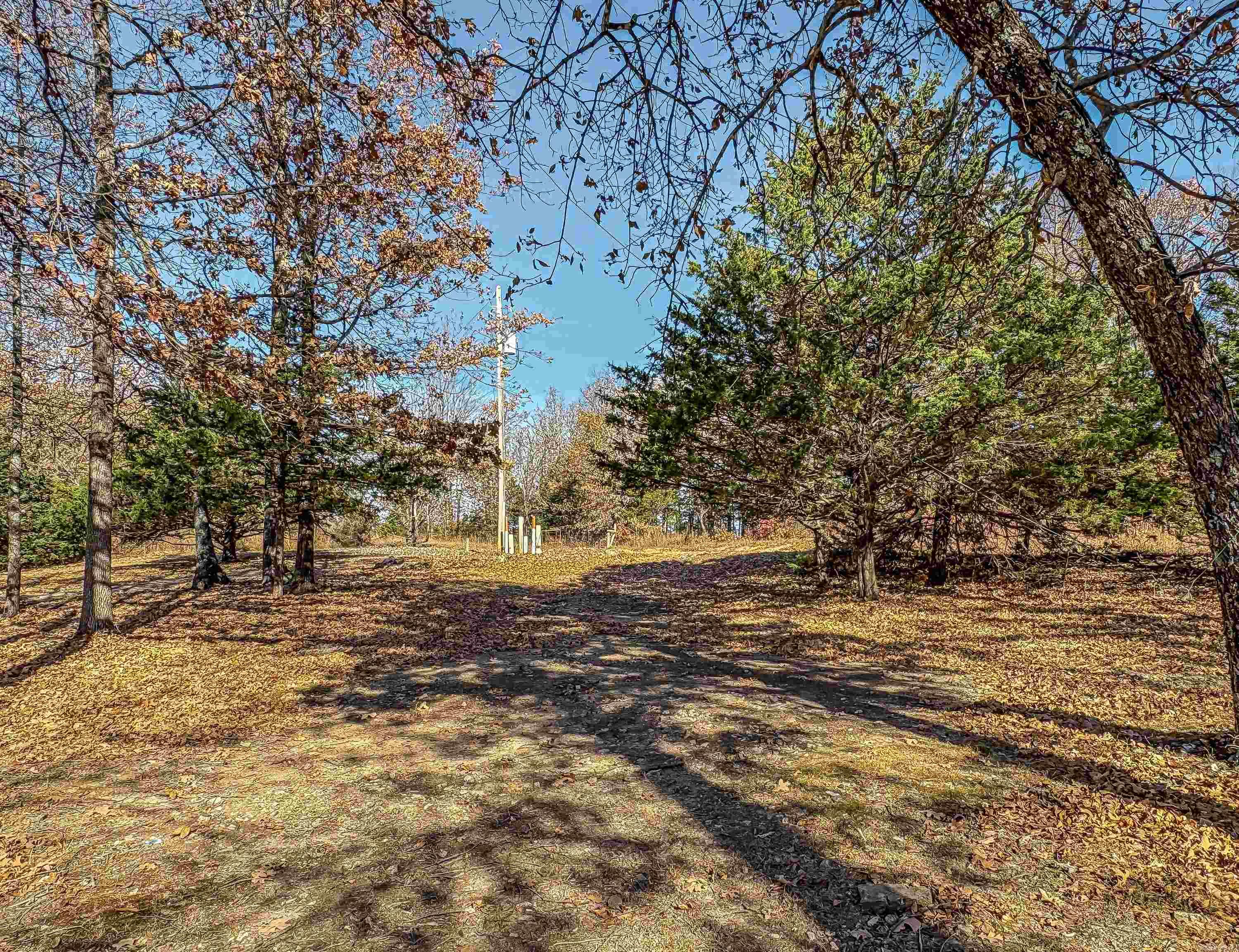 941 MC 5025  Valley Springs, AR