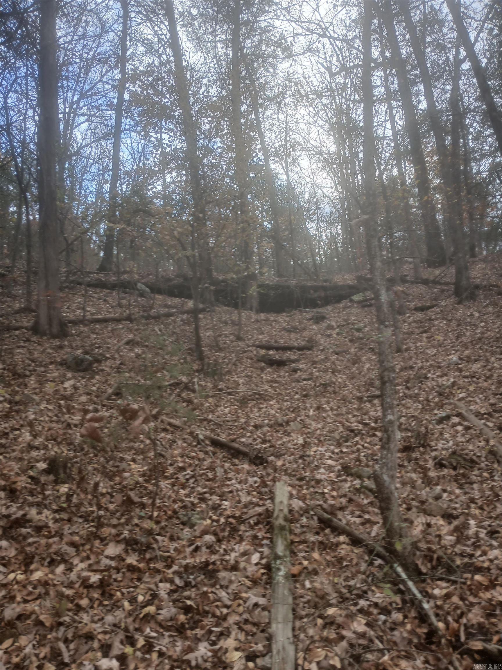 941 MC 5025  Valley Springs, AR