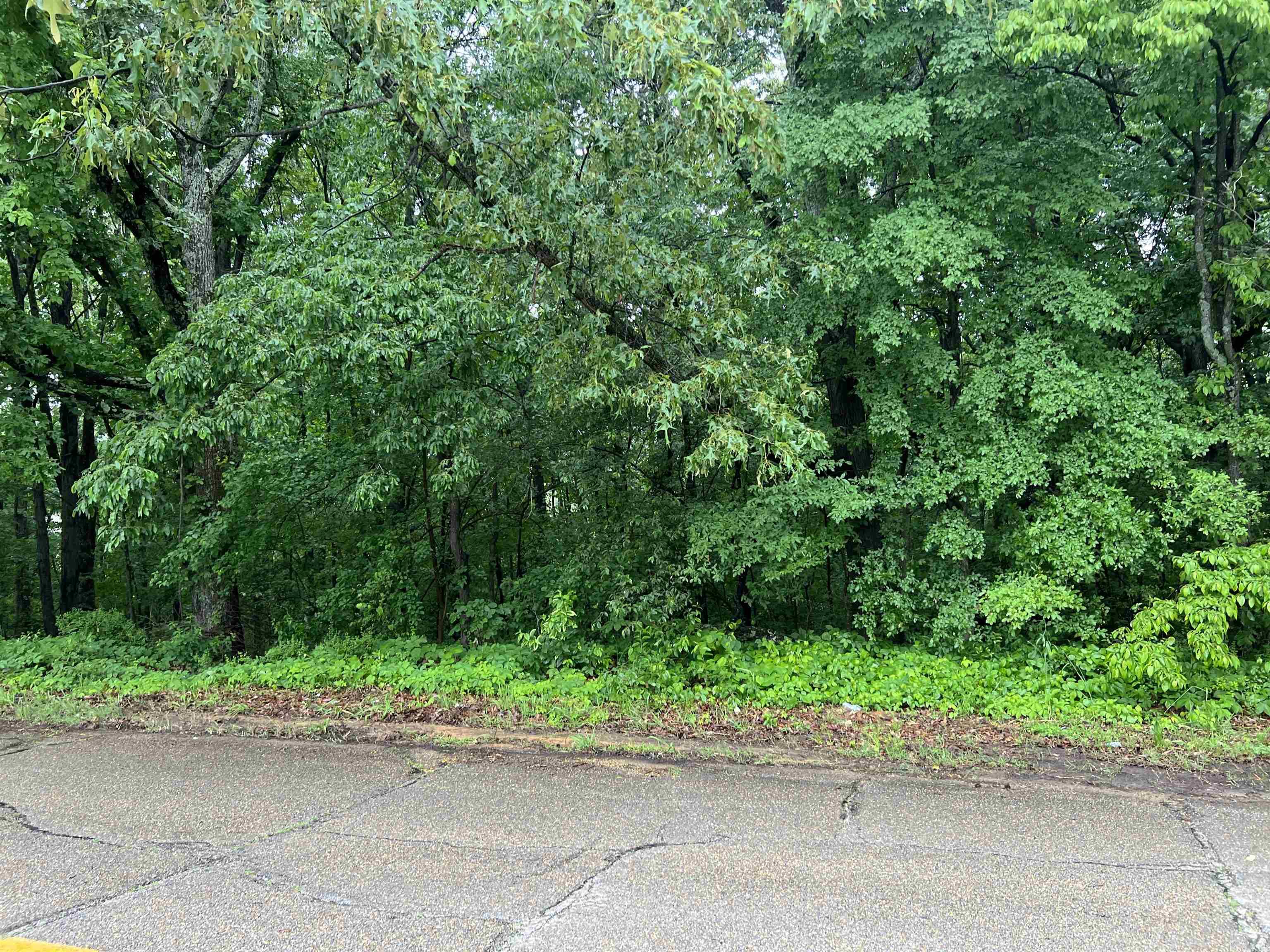 000 W Nettleton  Jonesboro, AR