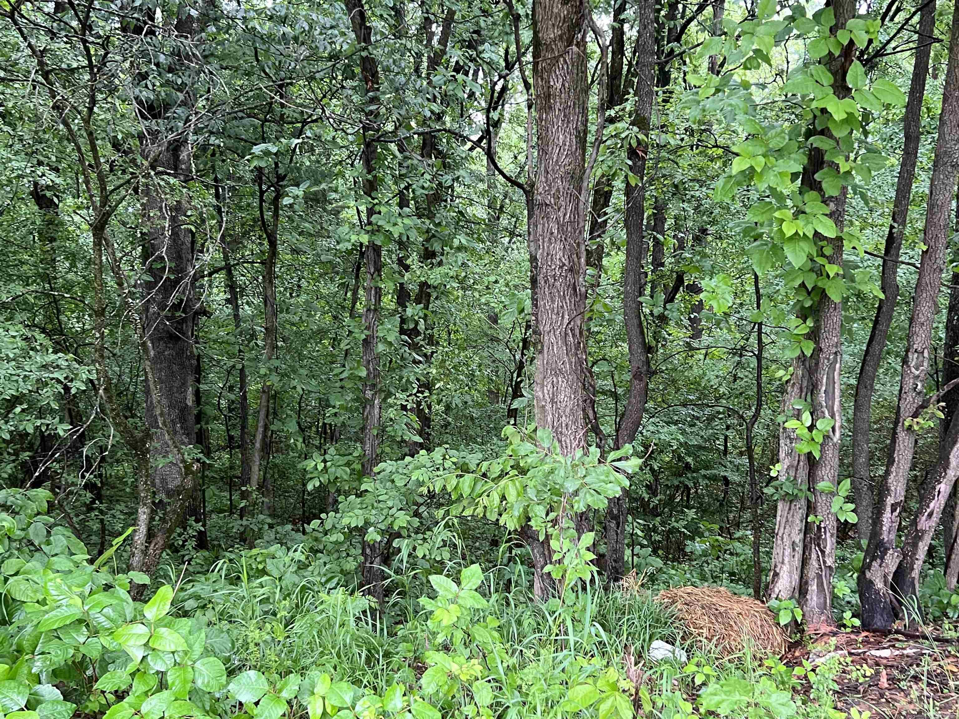 000 W Nettleton  Jonesboro, AR