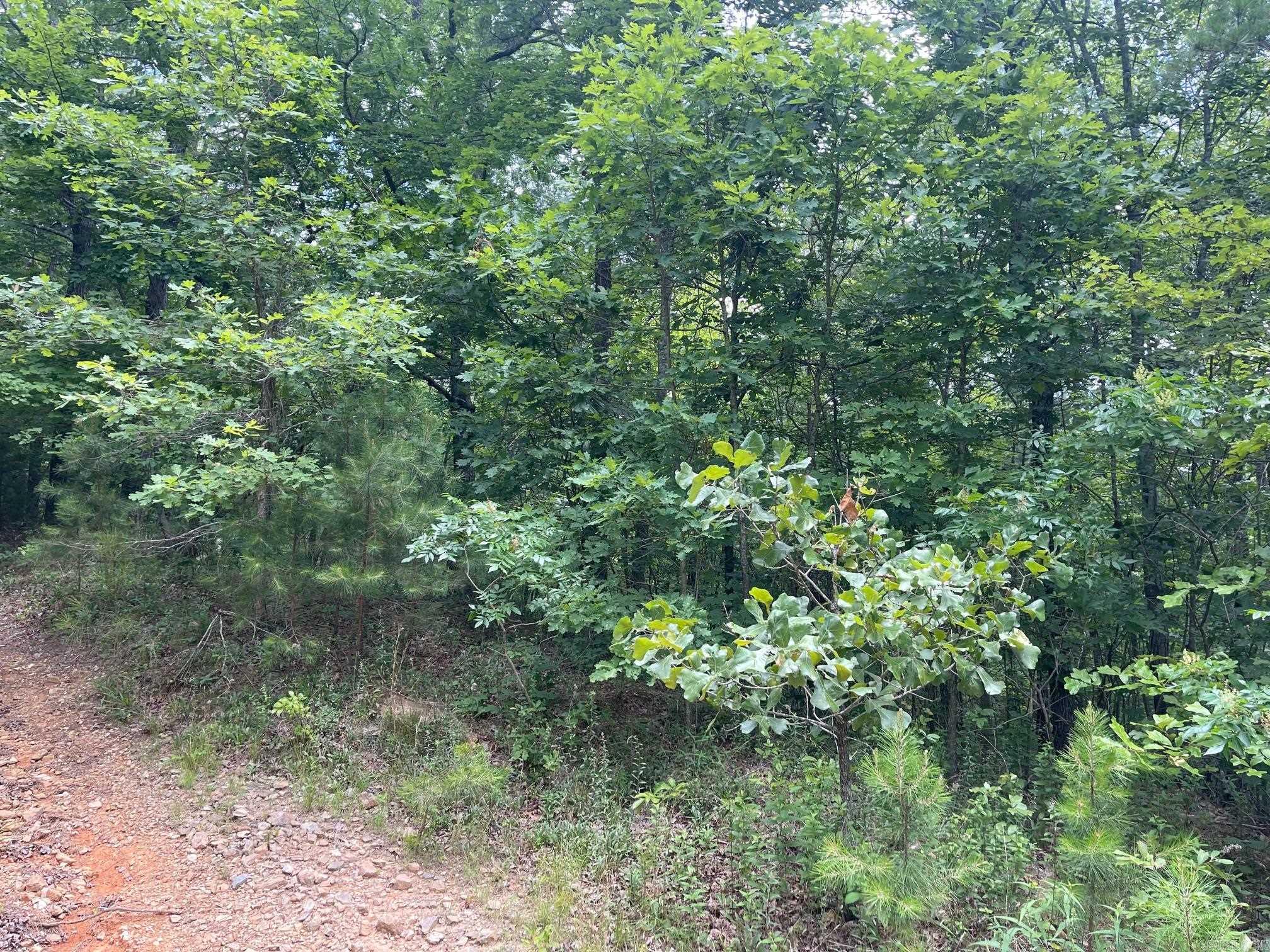 TBD Polk Road 61  Mena, AR