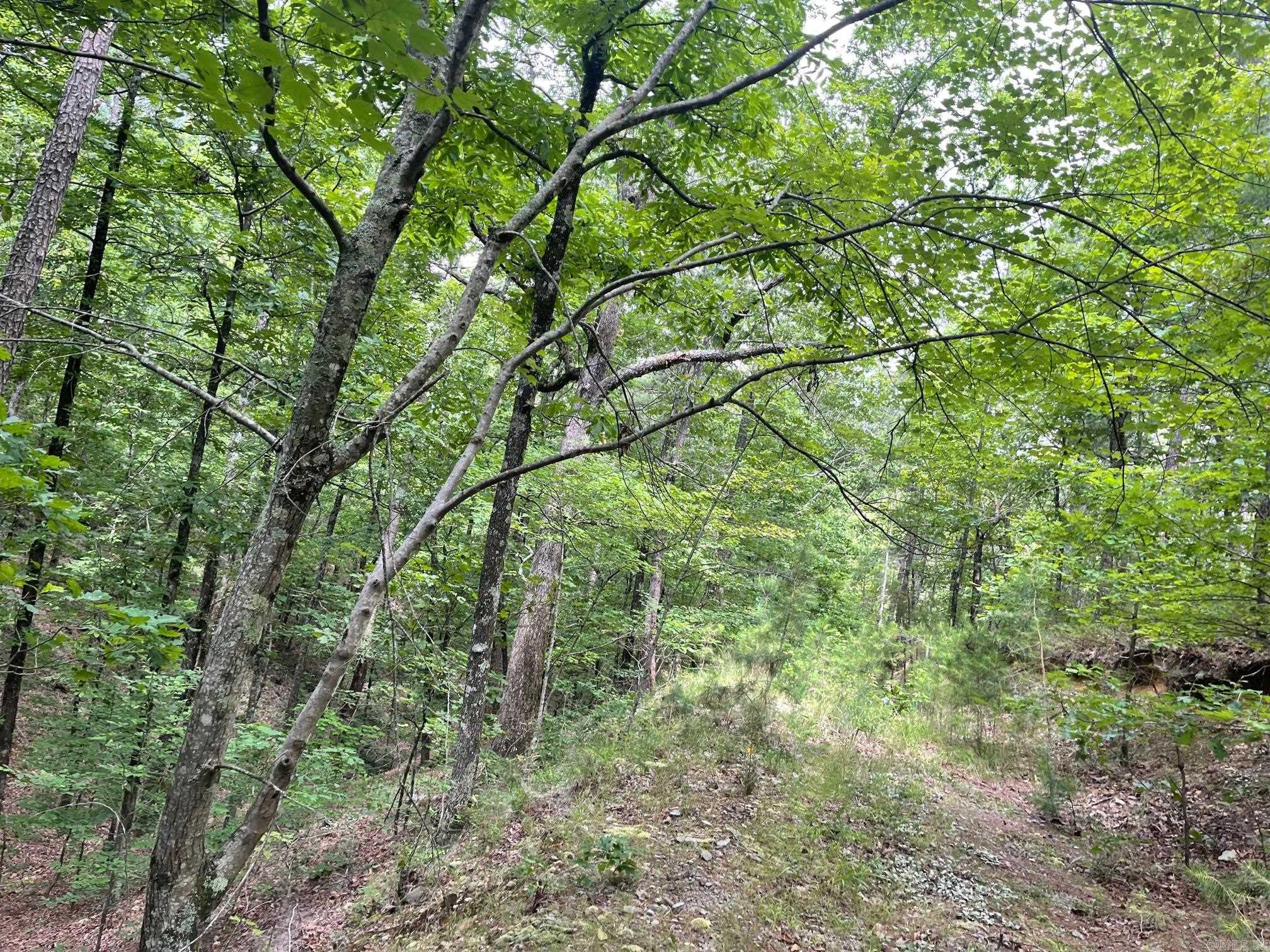 TBD Polk Road 61  Mena, AR