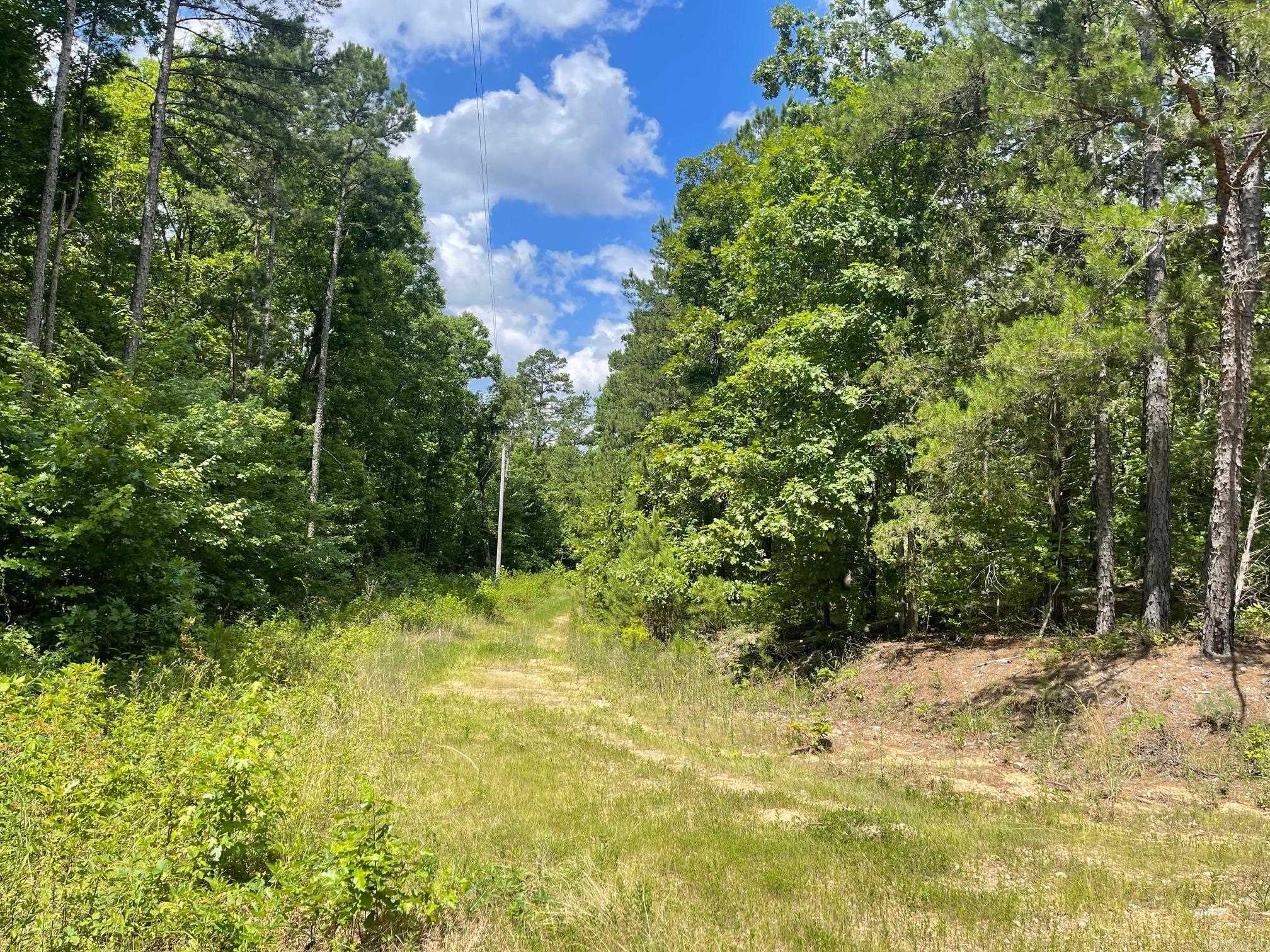 TBD Polk Road 61  Mena, AR