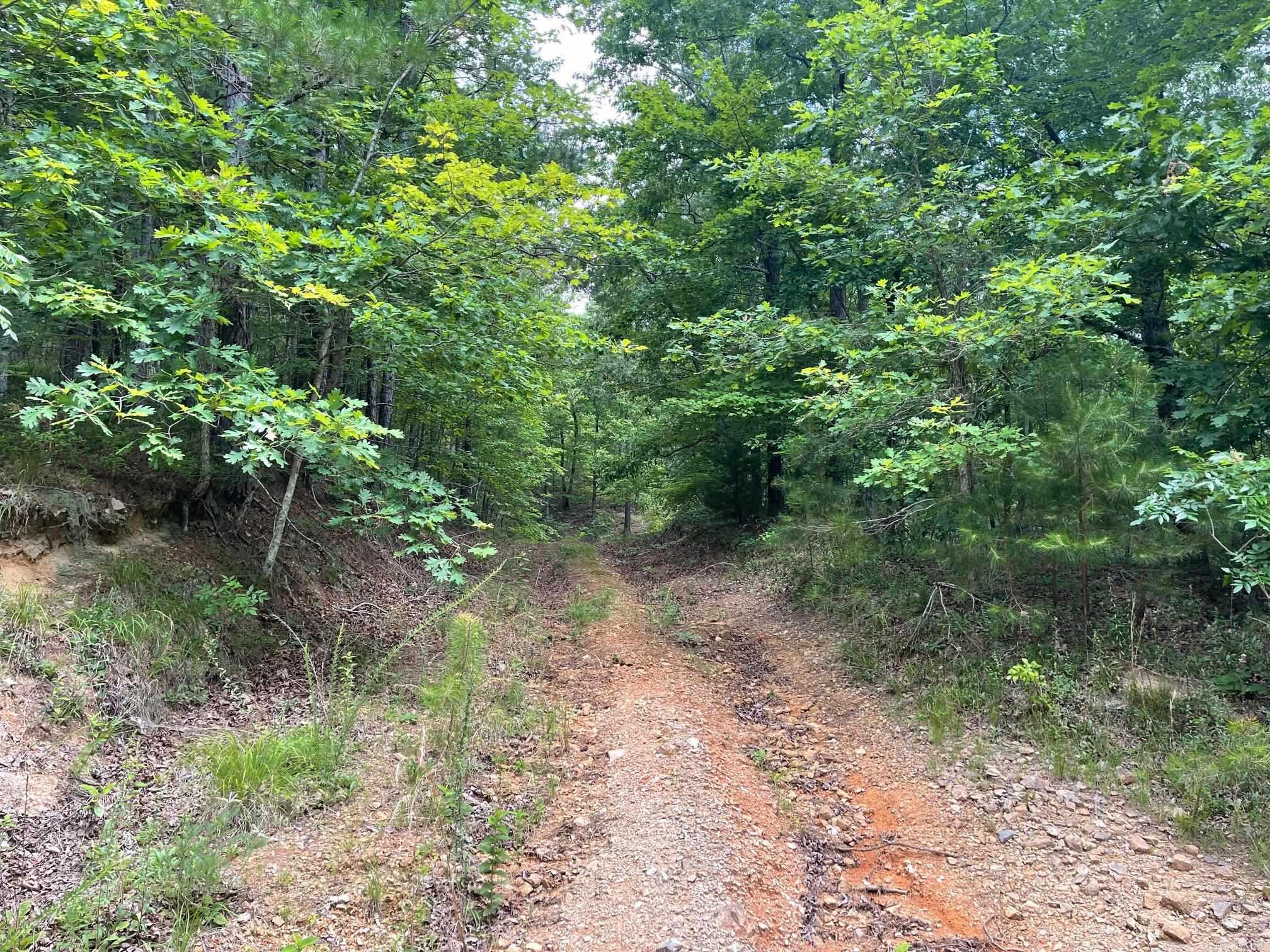 TBD Polk Road 61  Mena, AR