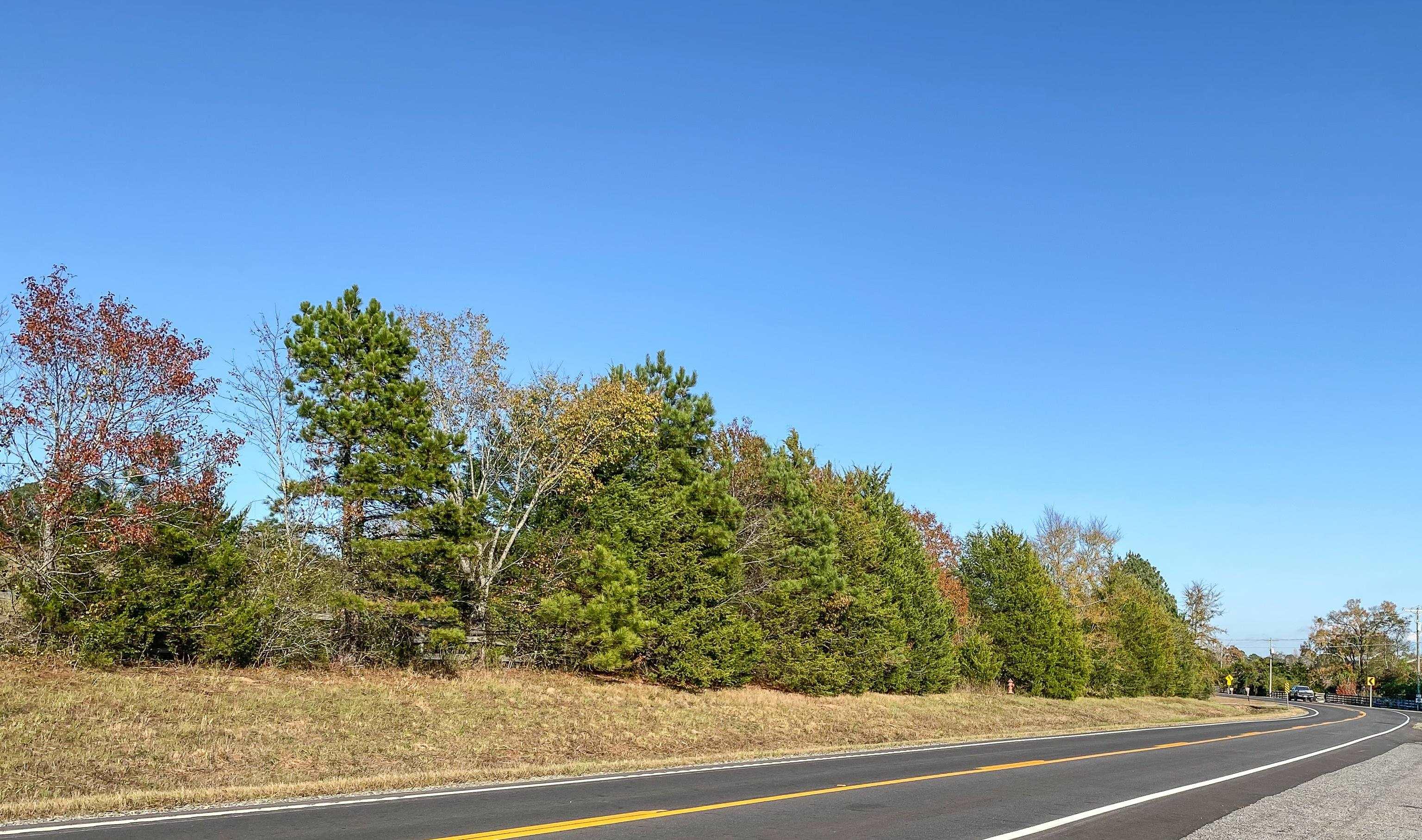 3109 Sunshine  Royal, AR