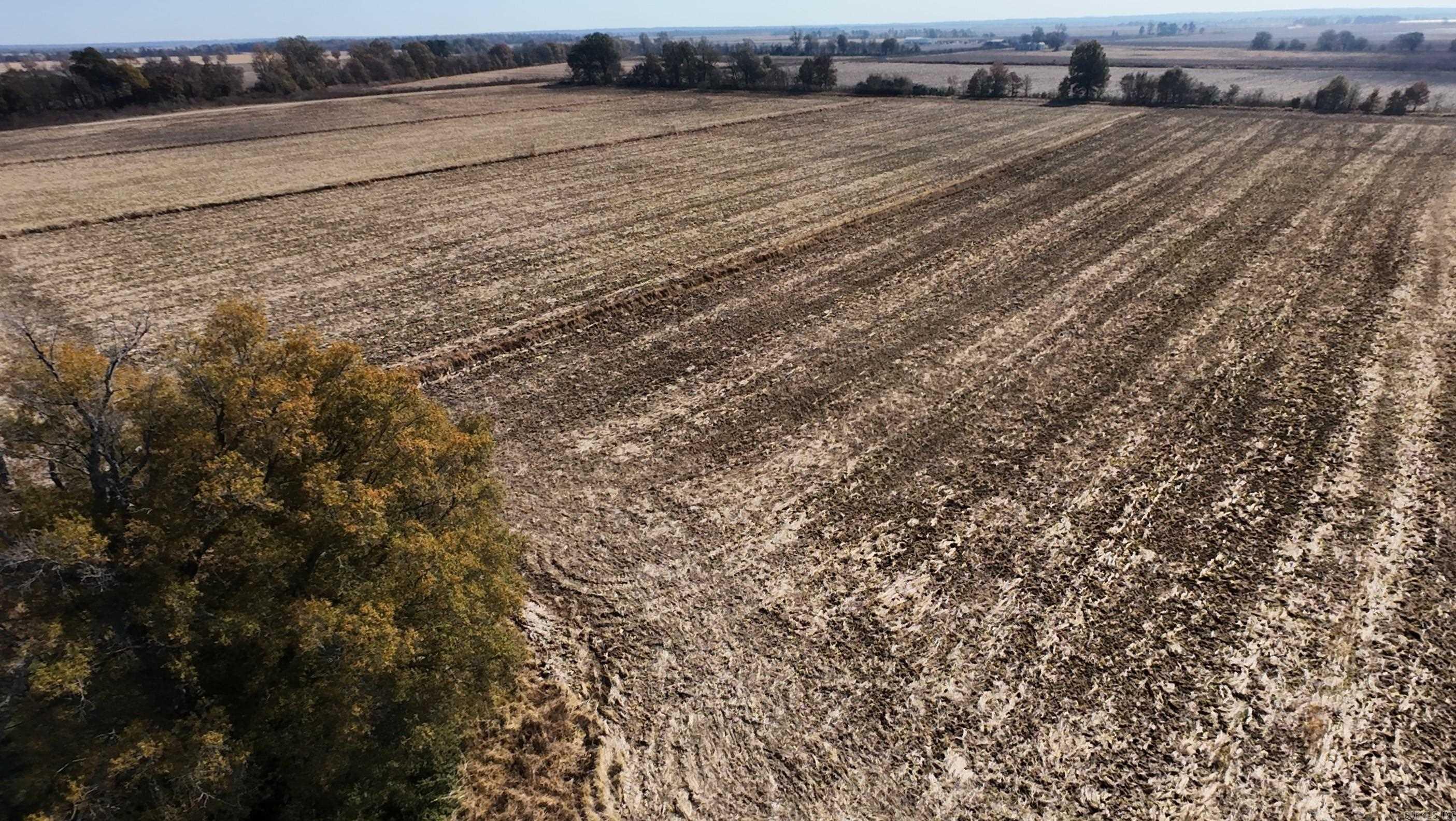 1940 HWY 90  Knobel, AR