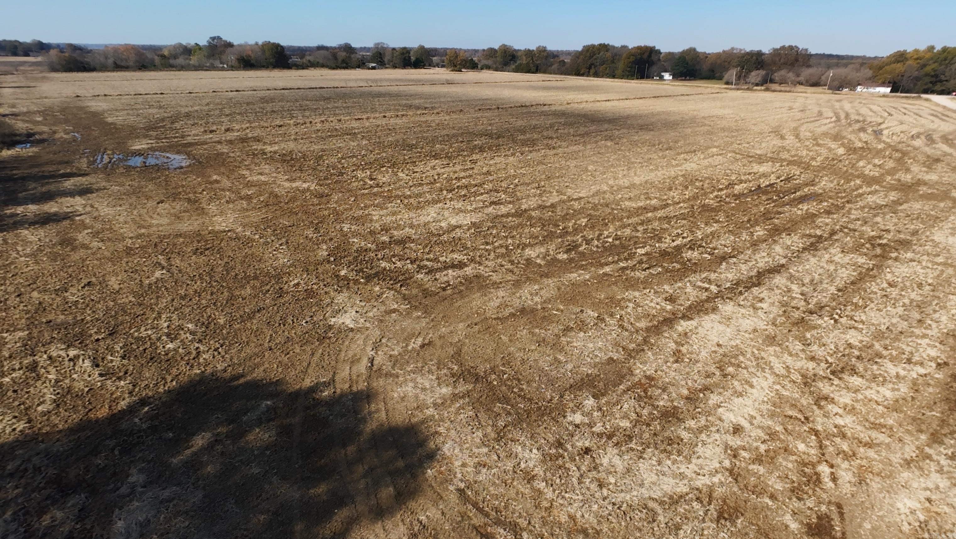 1940 HWY 90  Knobel, AR